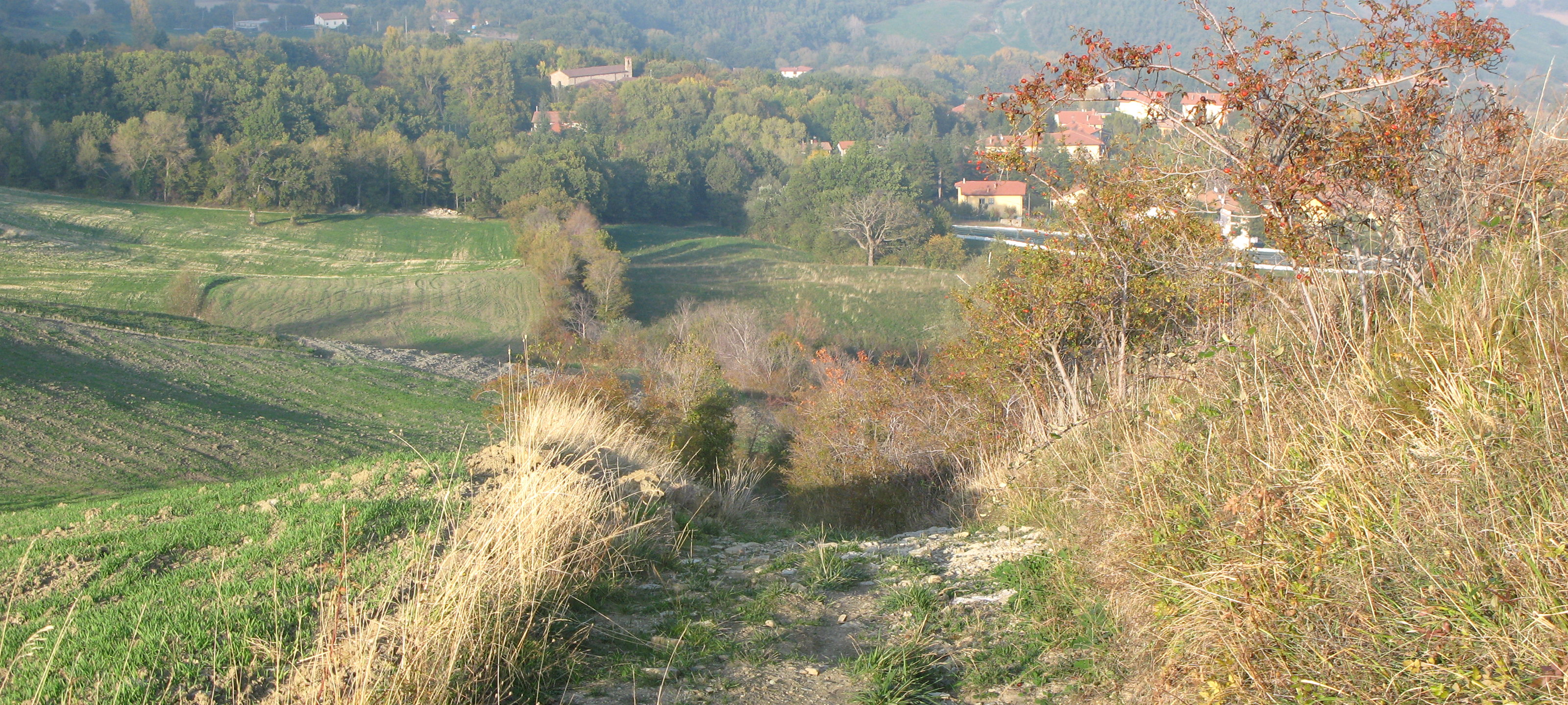 Monte Carpegna Sentiero 107 - immagine 2