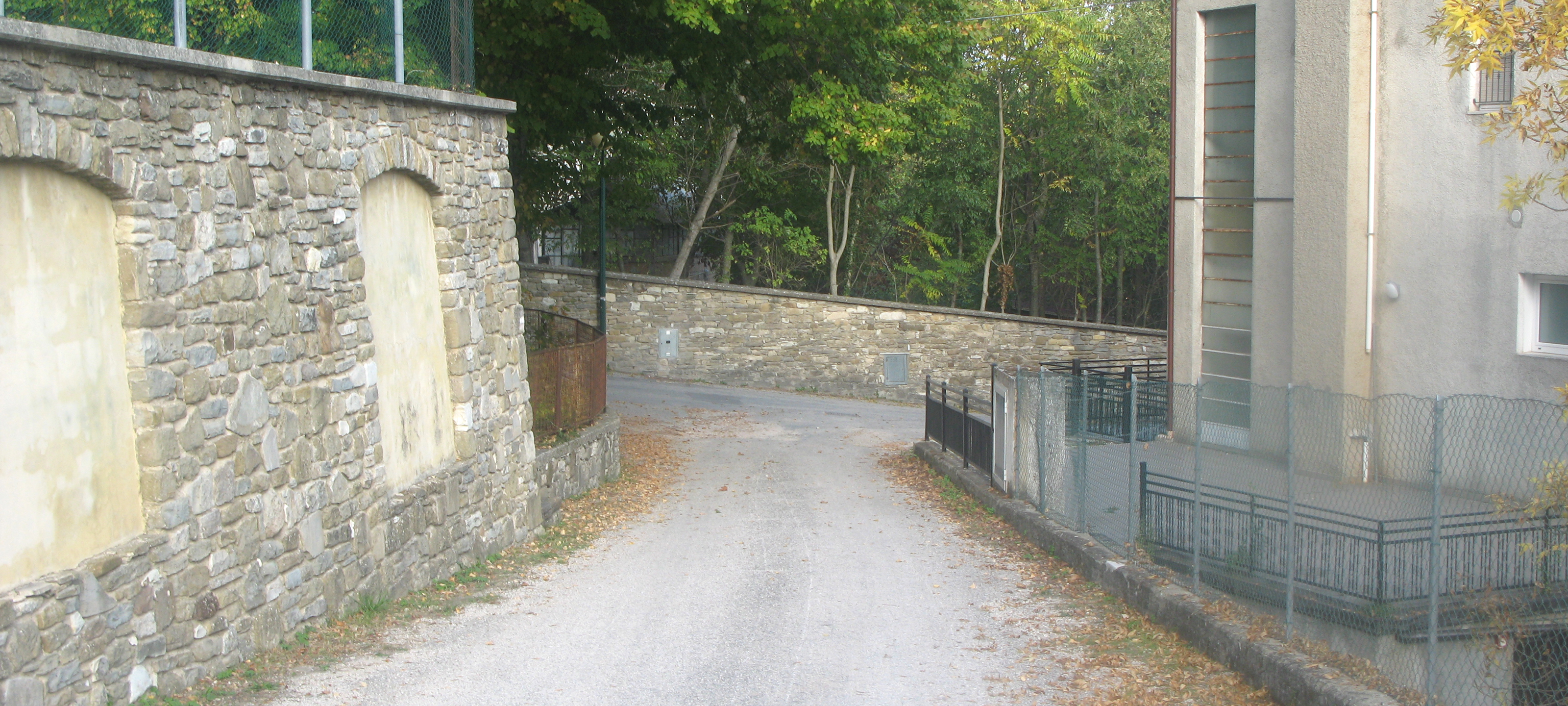 Monte Carpegna Sentiero 107 - immagine 3