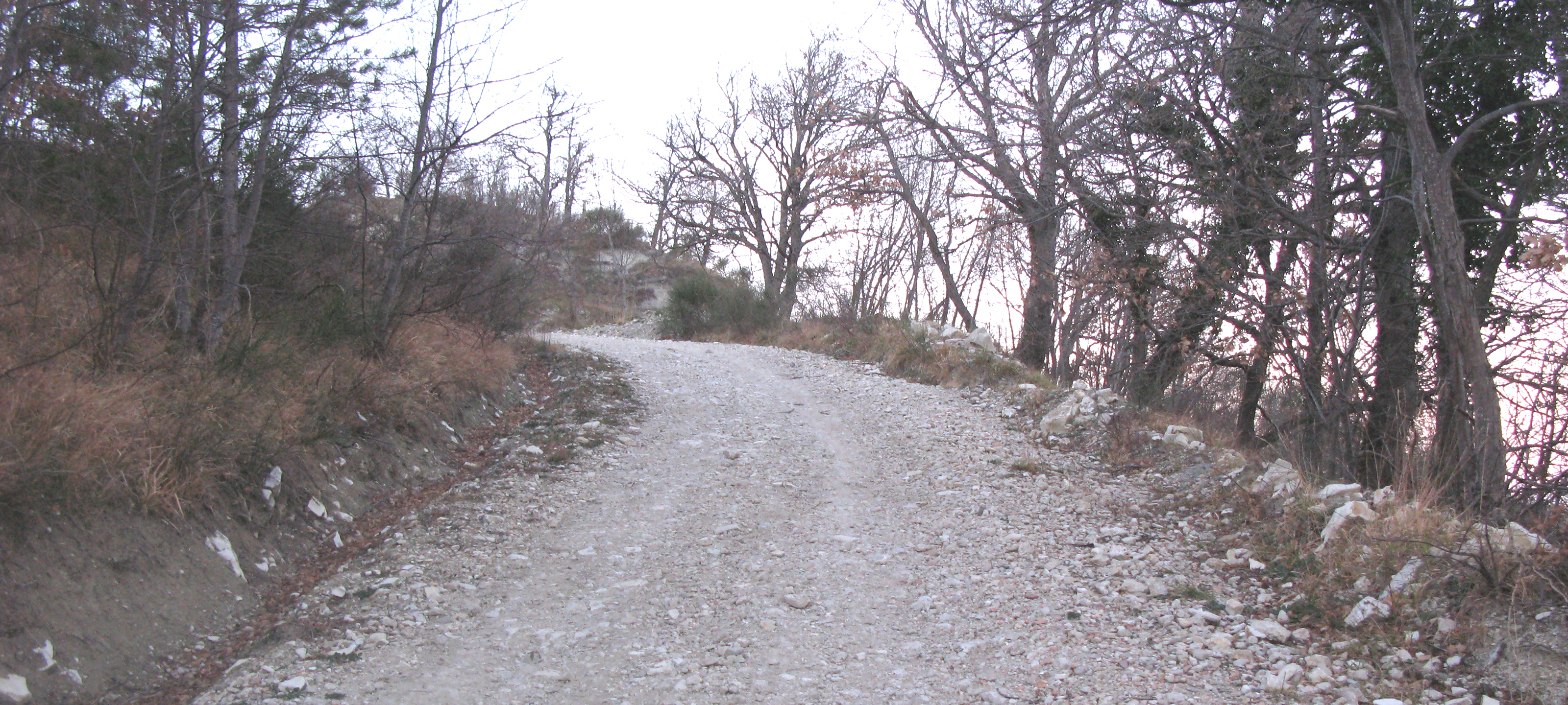 Monte Carpegna Sentiero 107 - immagine 4