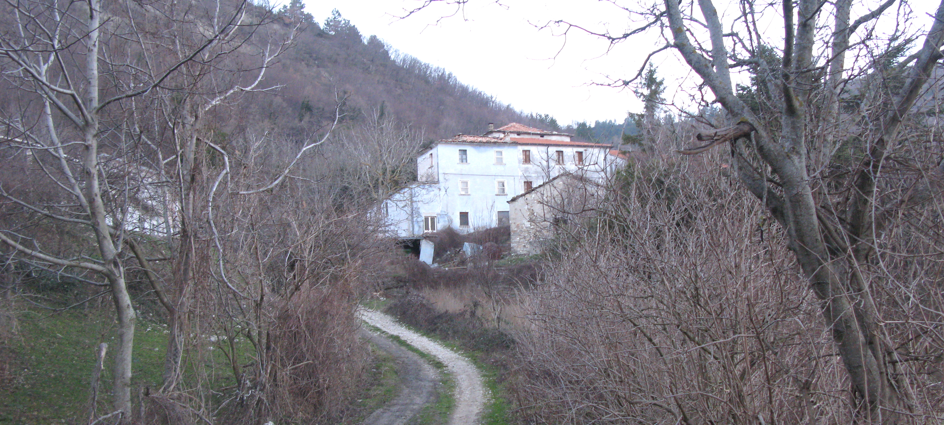 Monte Carpegna Sentiero 107 - immagine 5 (Cacciamarra)