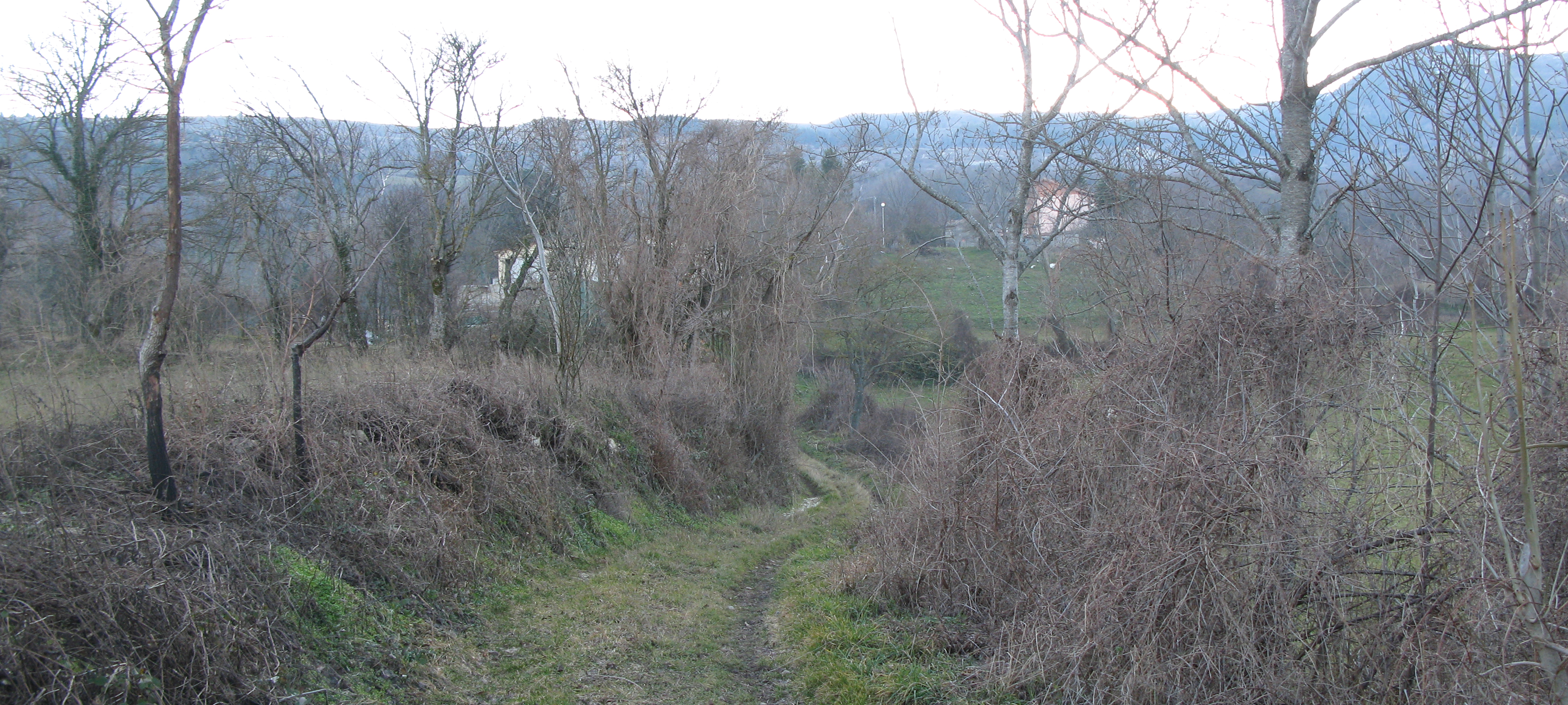 Monte Carpegna Sentiero 107 - immagine 12