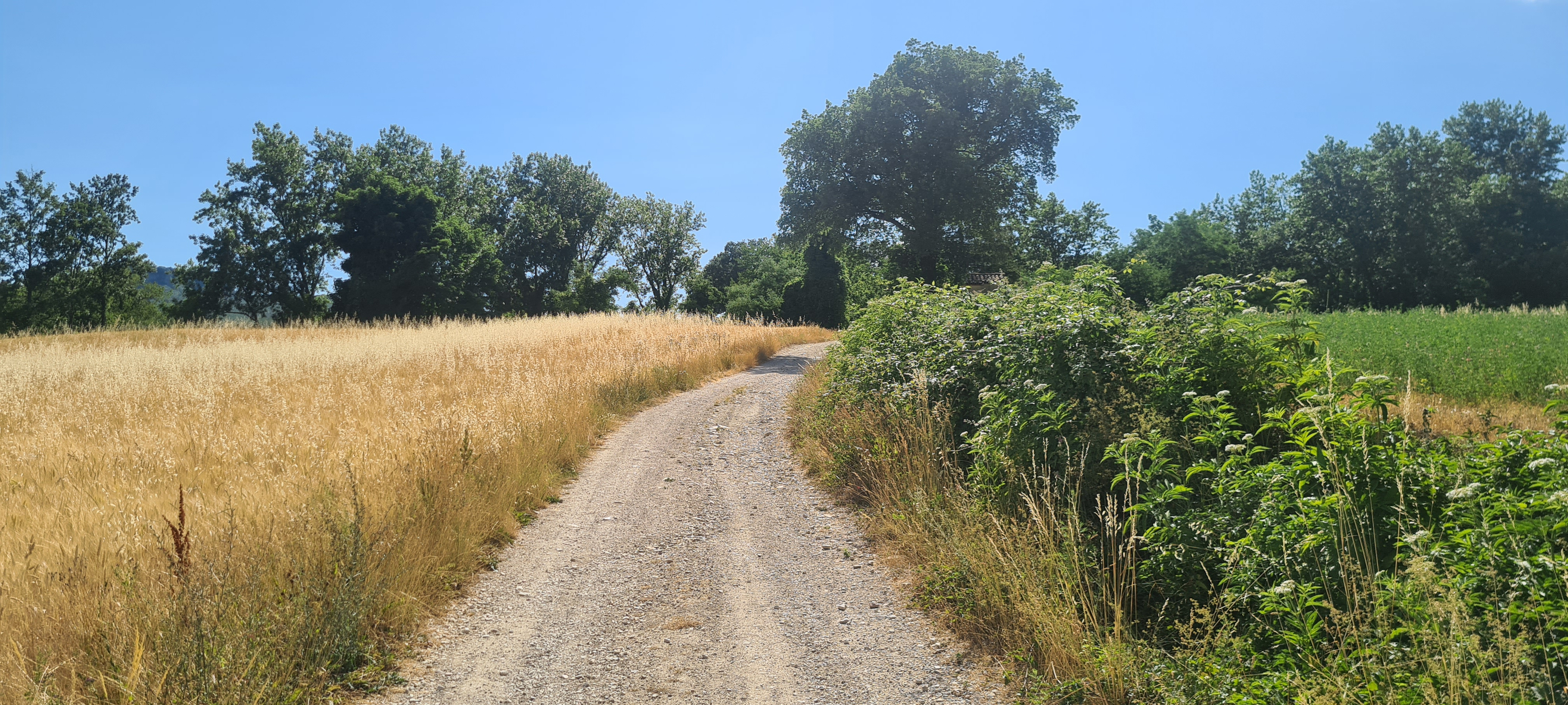 Parco Sasso Simone e Simoncello Sentiero 118 - immagine 2