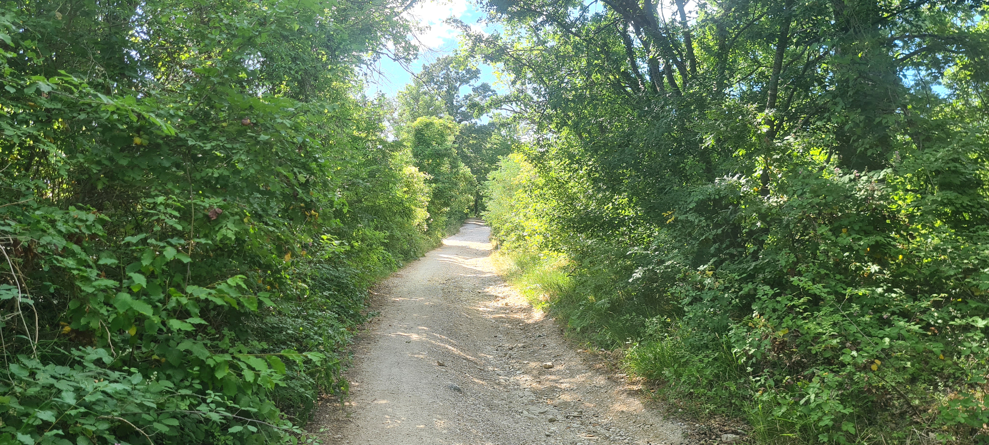 Parco Sasso Simone e Simoncello Sentiero 118 - immagine 3