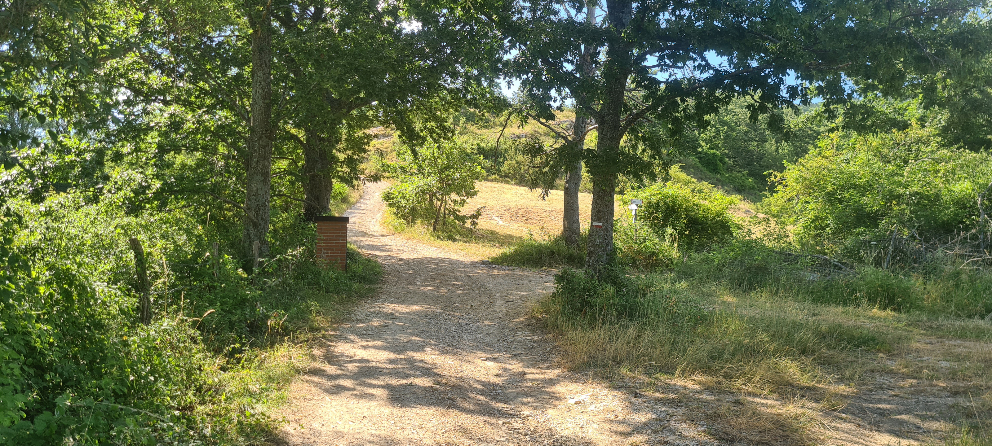 Parco Sasso Simone e Simoncello Sentiero 118 - immagine 4