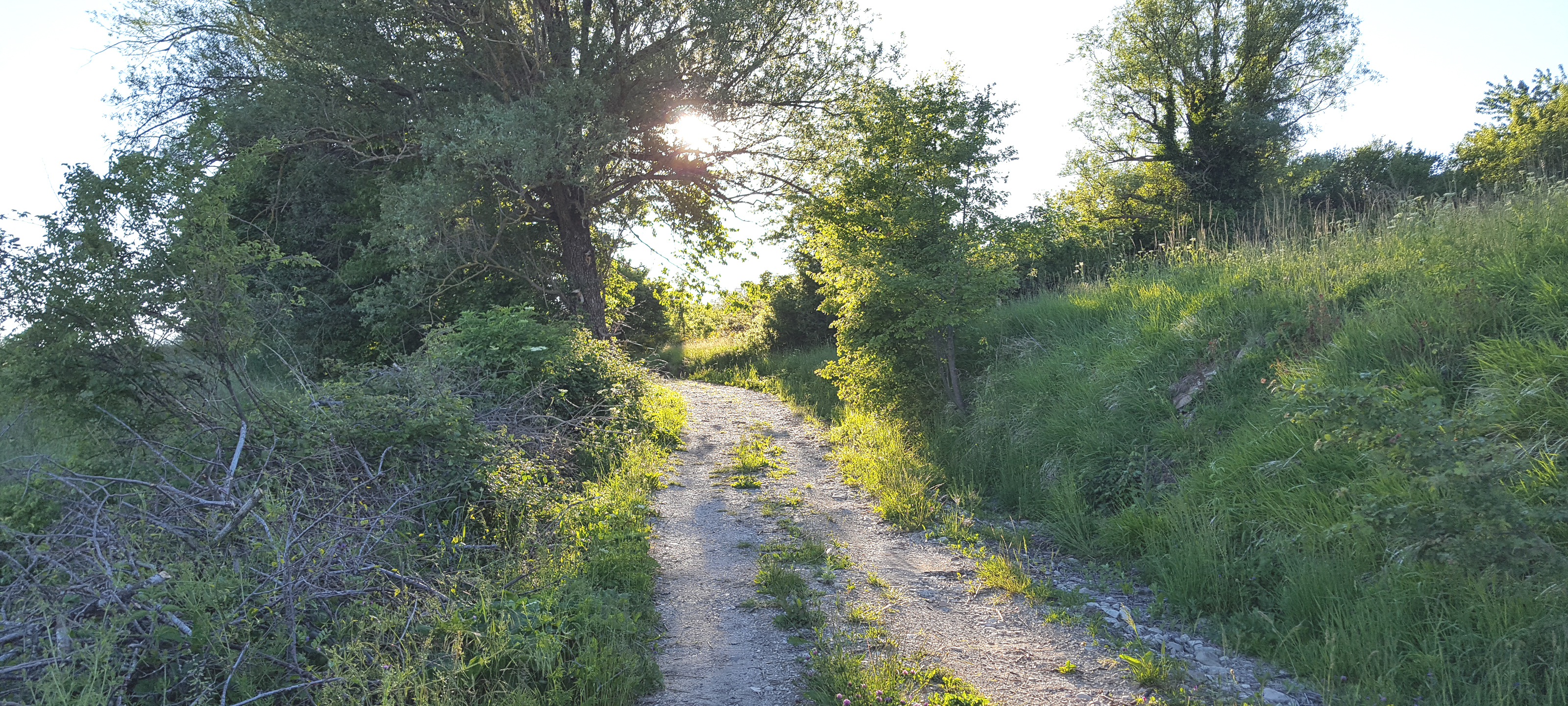 Parco Sasso Simone e Simoncello Sentiero 118 - immagine 5