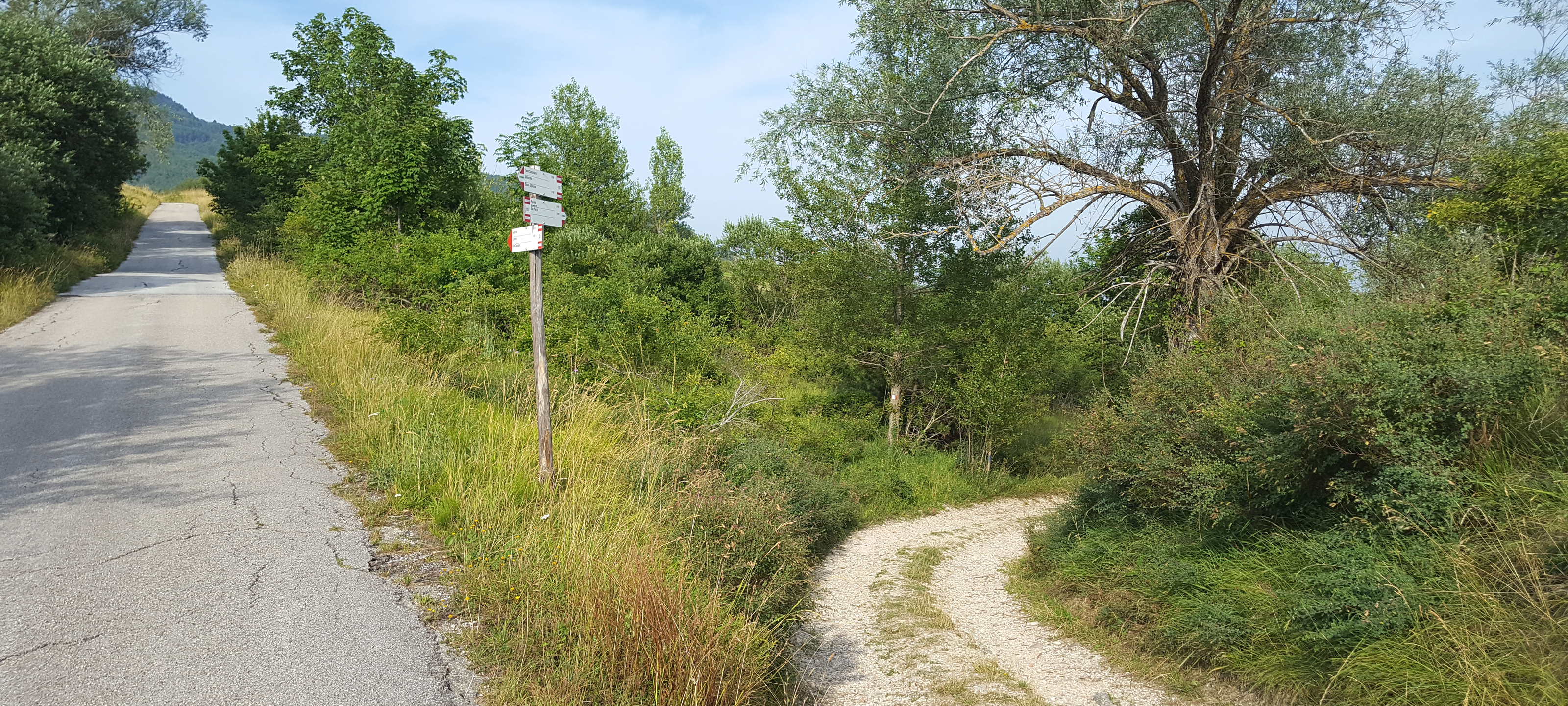 Parco Sasso Simone e Simoncello Sentiero 118 - immagine 6