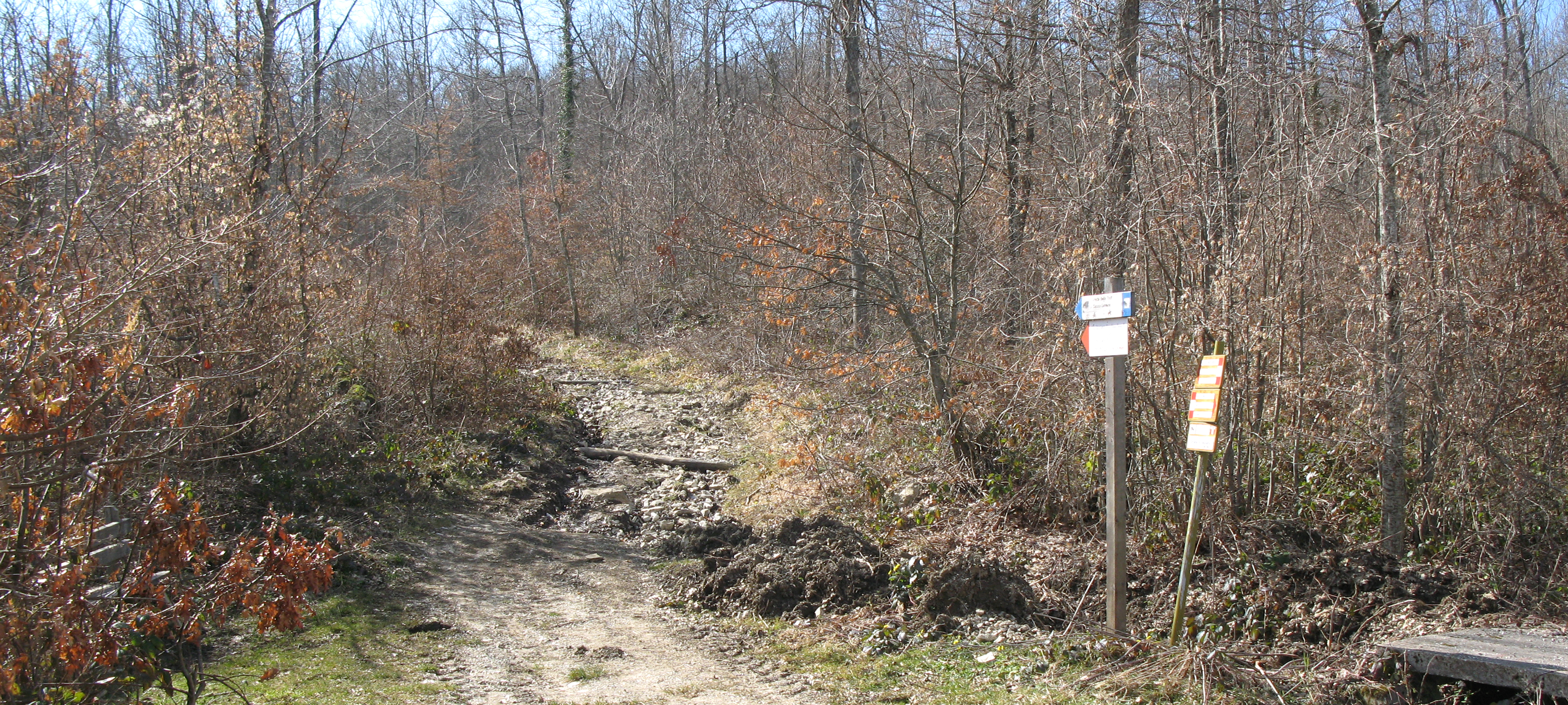 Parco Sasso Simone e Simoncello Sentiero 118 - immagine 10