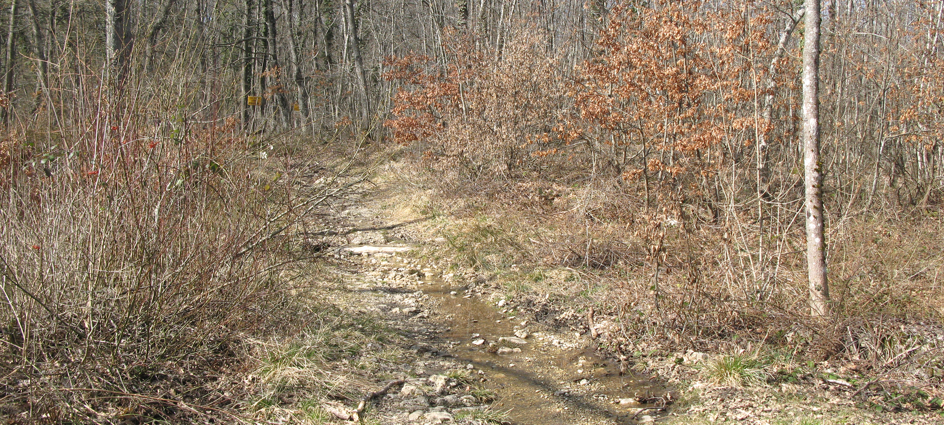 Parco Sasso Simone e Simoncello Sentiero 118 - immagine 11