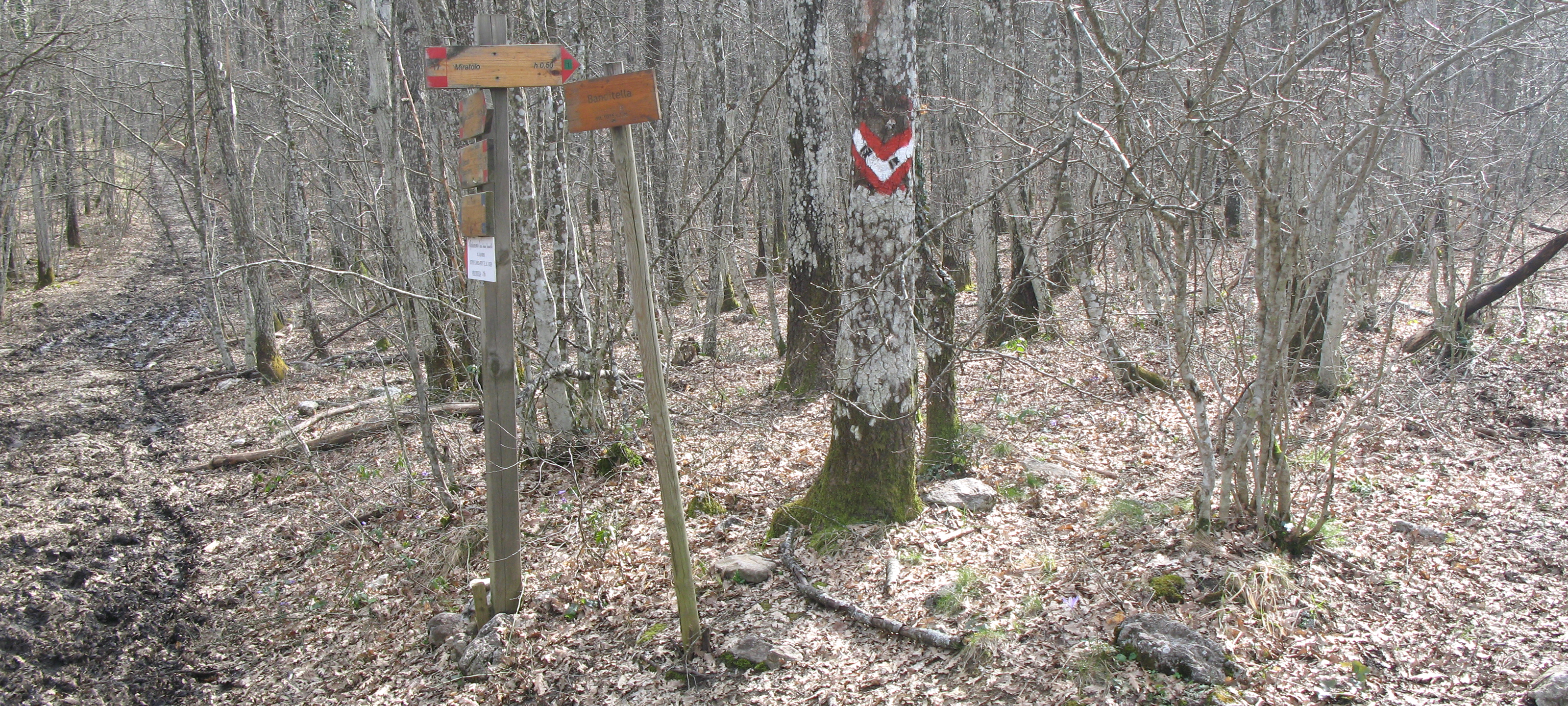 Parco Sasso Simone e Simoncello Sentiero 118 - immagine 13 (Banditella)