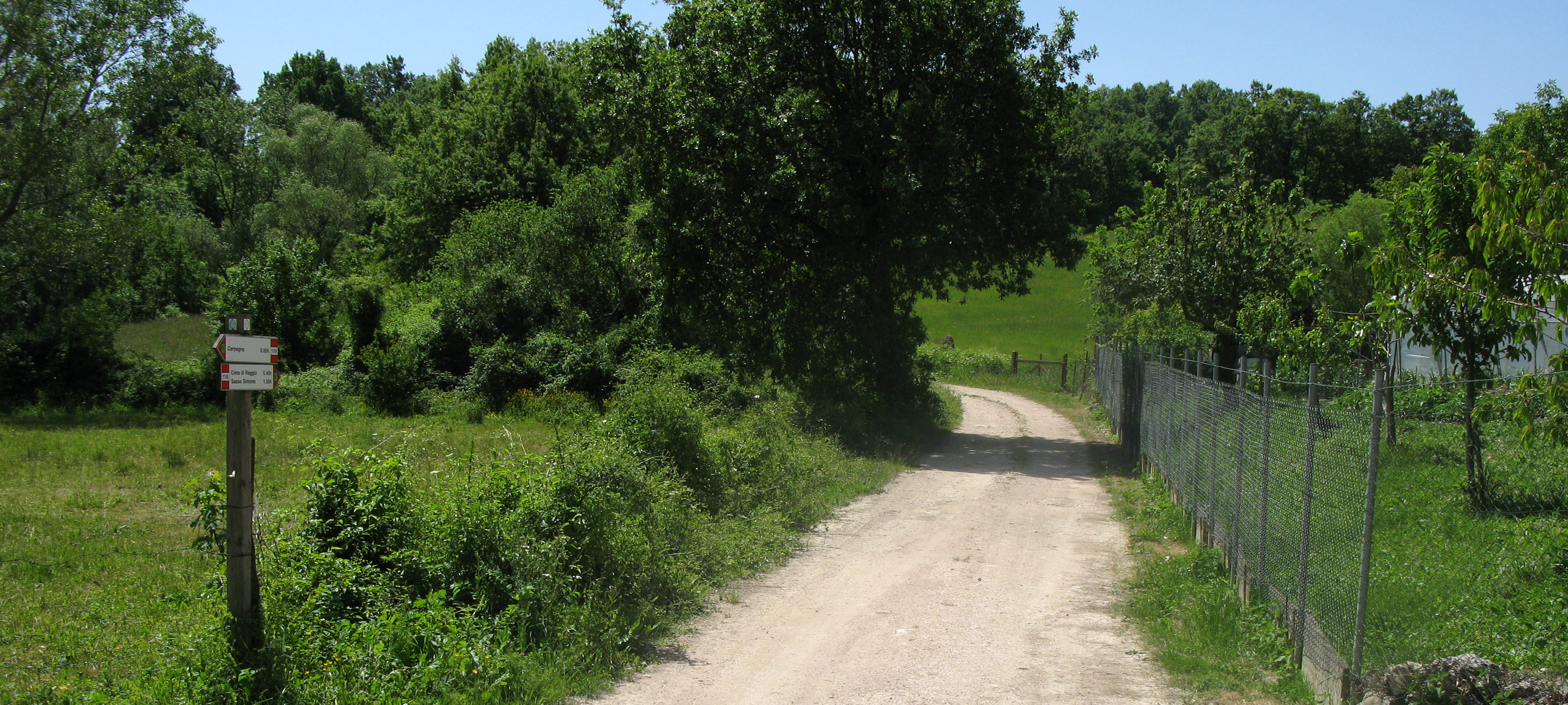 Parco Sasso Simone e Simoncello Sentiero 119 - immagine 2