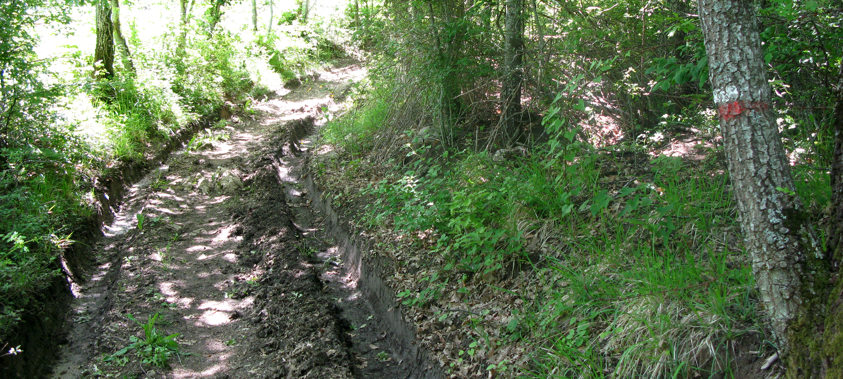 Parco Sasso Simone e Simoncello Sentiero 119 - immagine 4