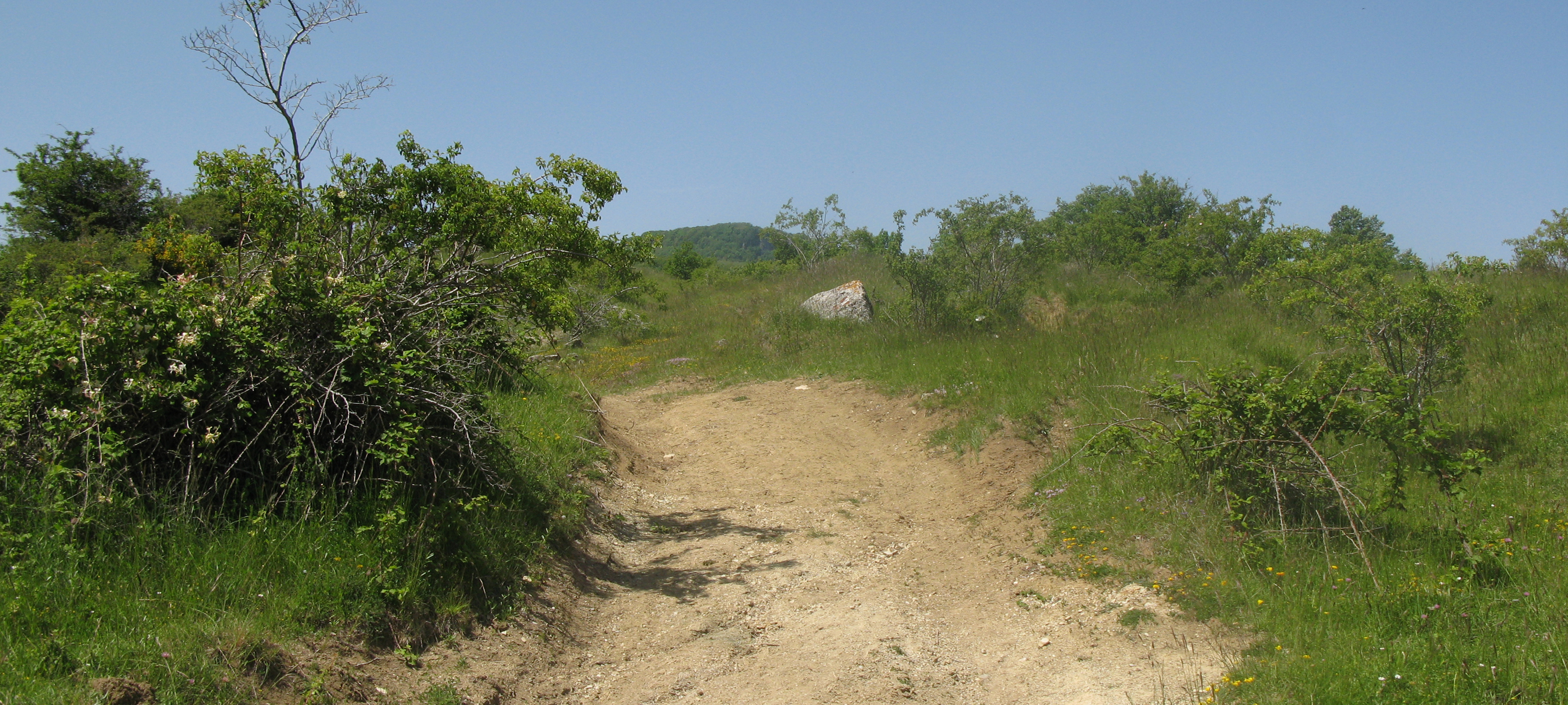 Parco Sasso Simone e Simoncello Sentiero 119 - immagine 5