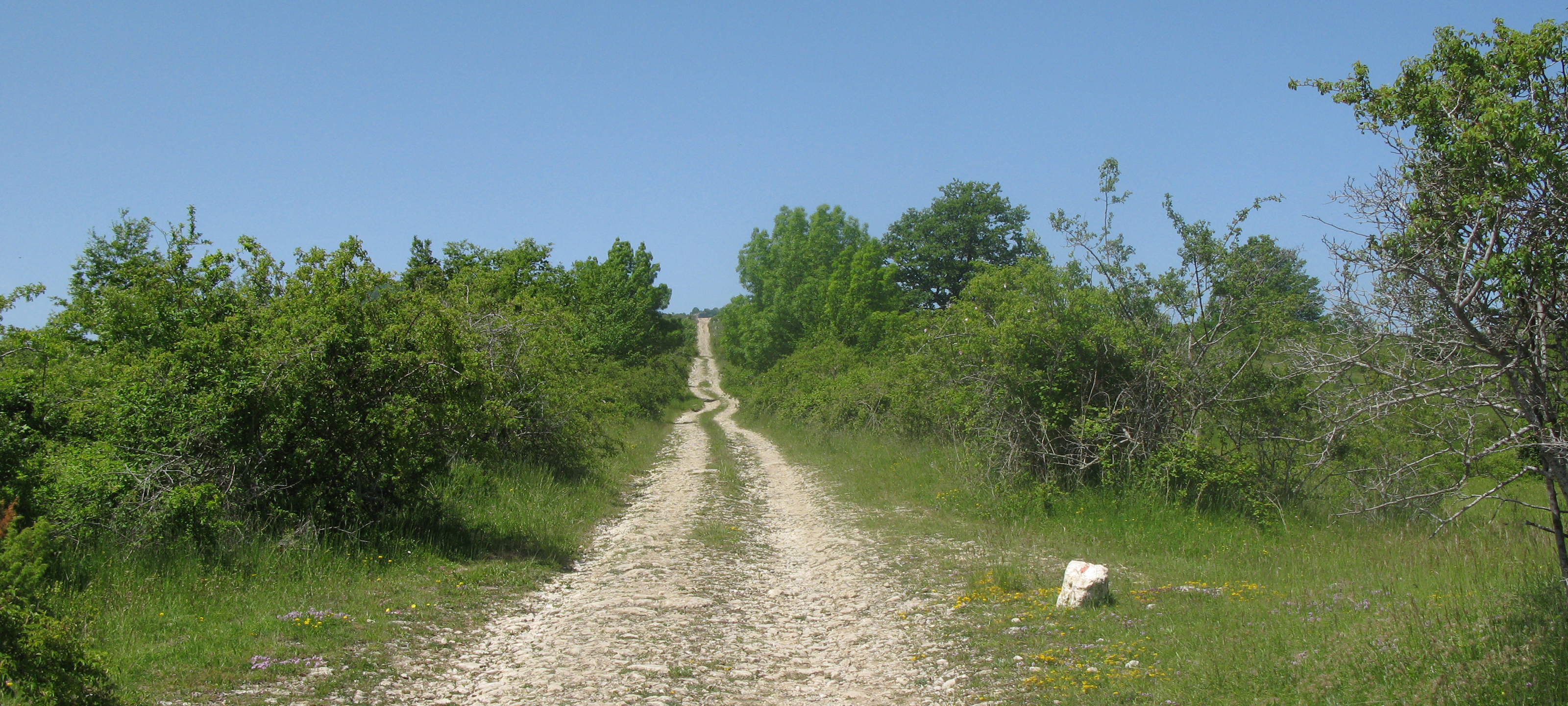 Parco Sasso Simone e Simoncello Sentiero 119 - immagine 6