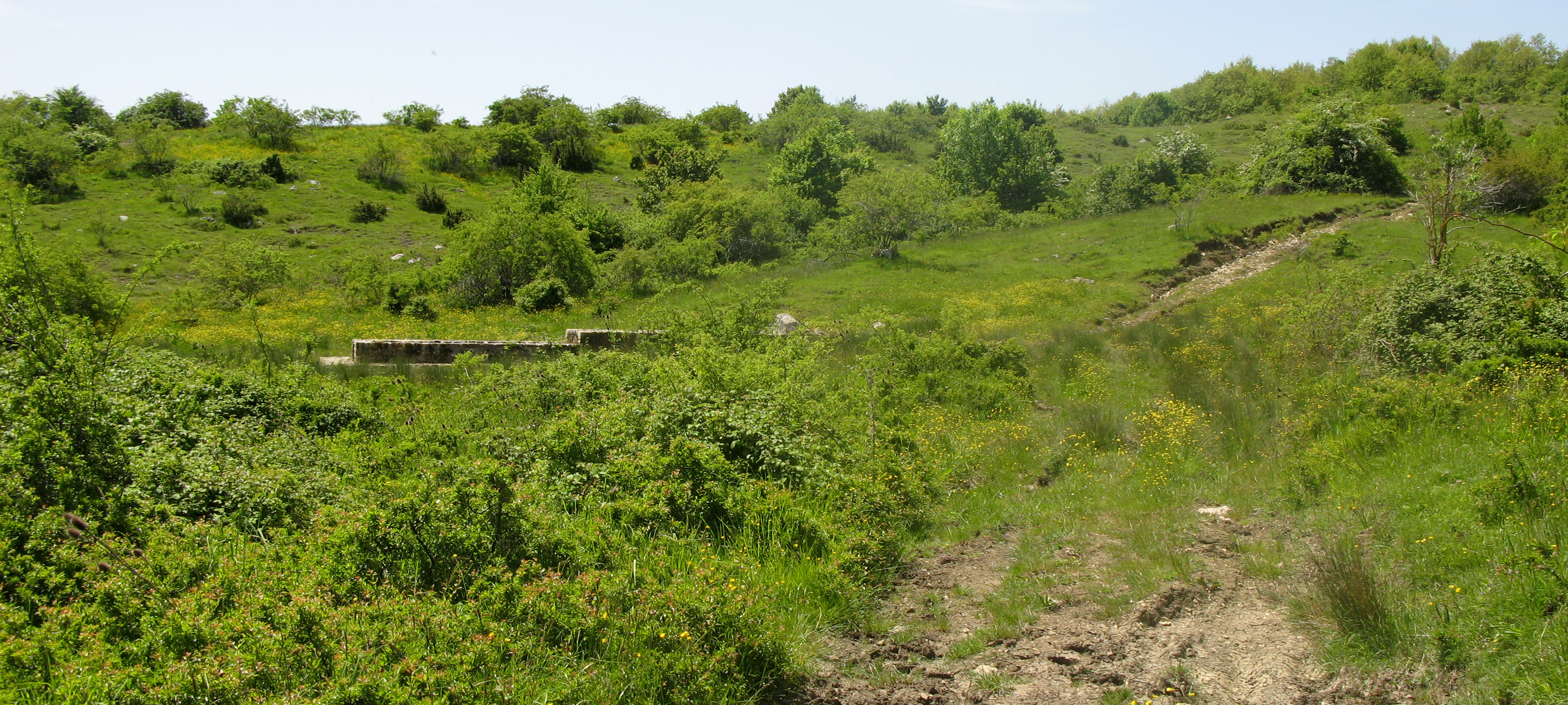 Parco Sasso Simone e Simoncello Sentiero 119 - immagine 8