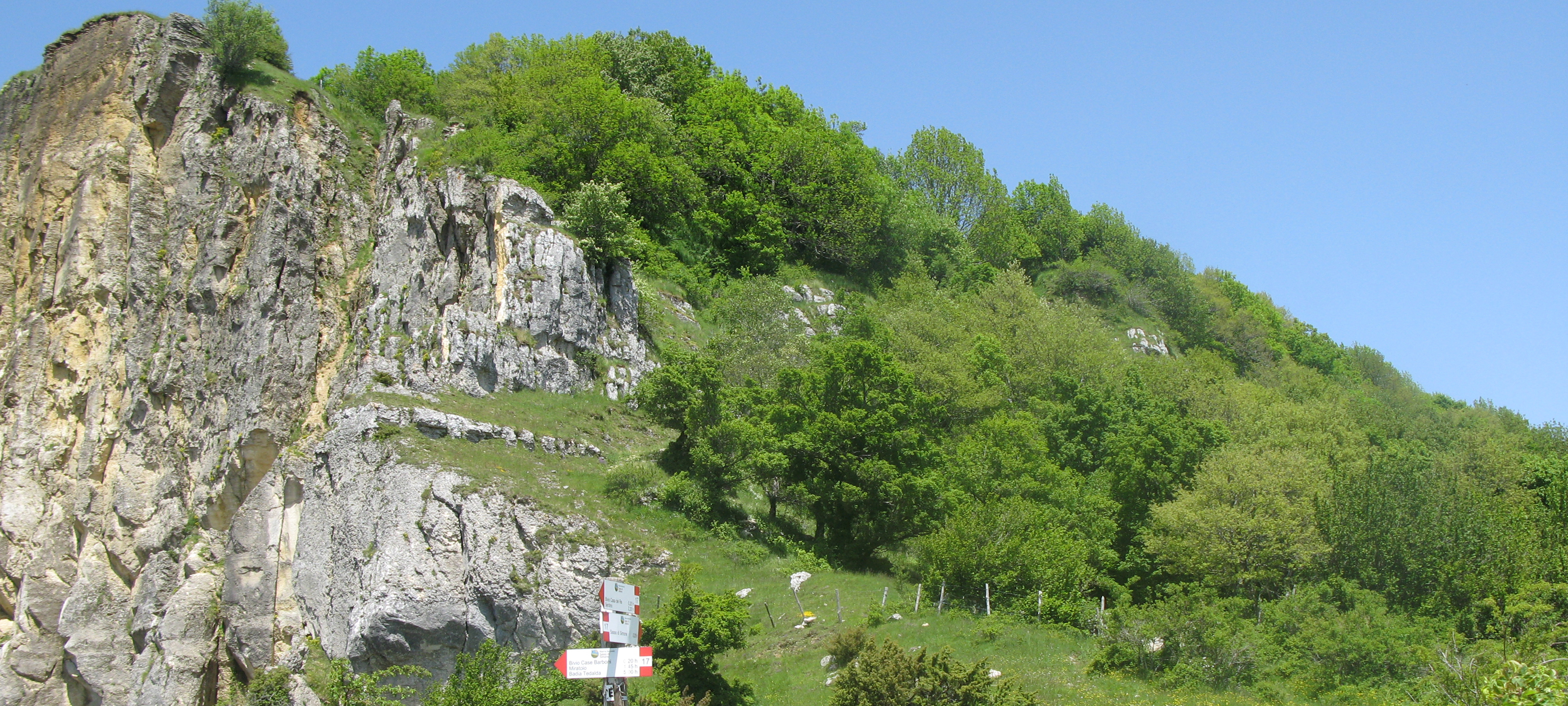 Parco Sasso Simone e Simoncello Sentiero 119 - immagine 10