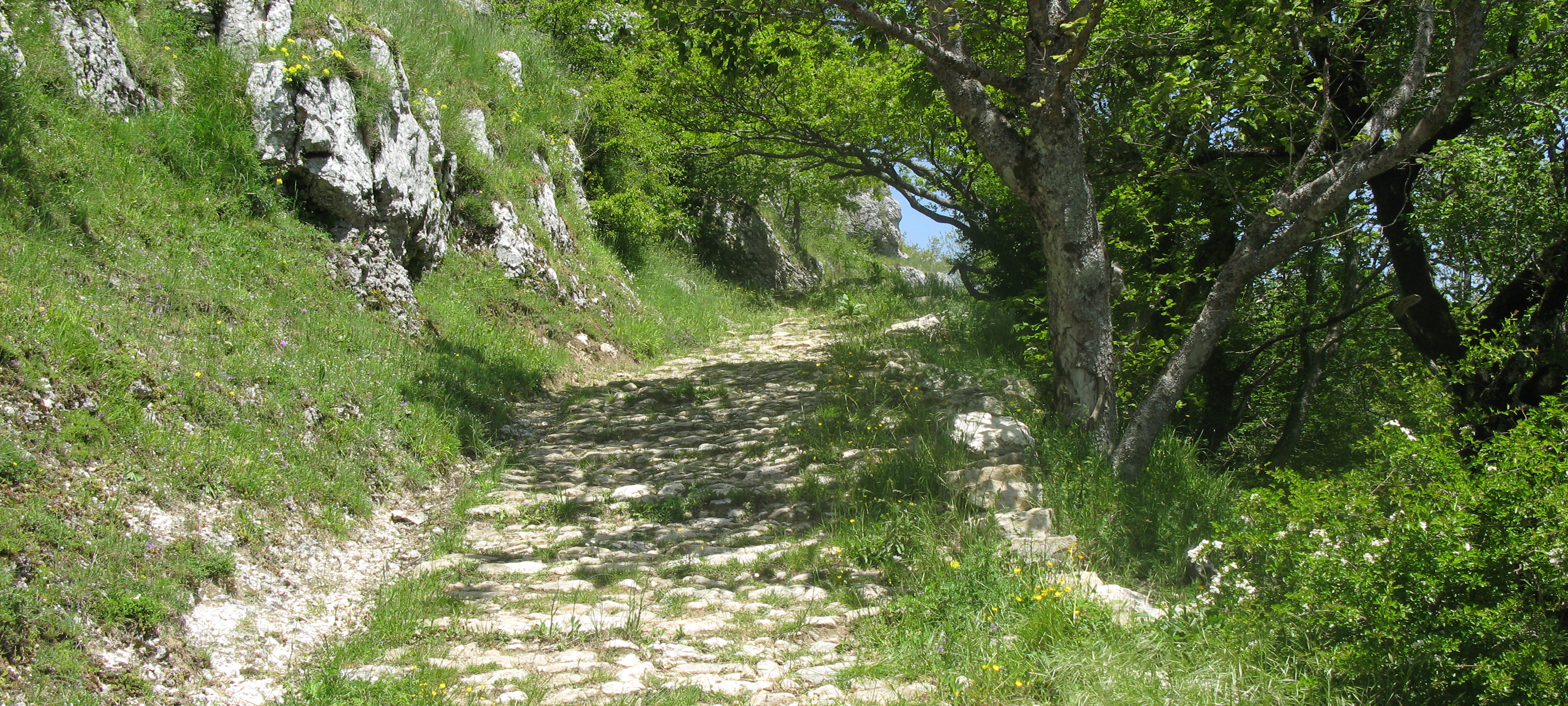 Parco Sasso Simone e Simoncello Sentiero 119 - immagine 11