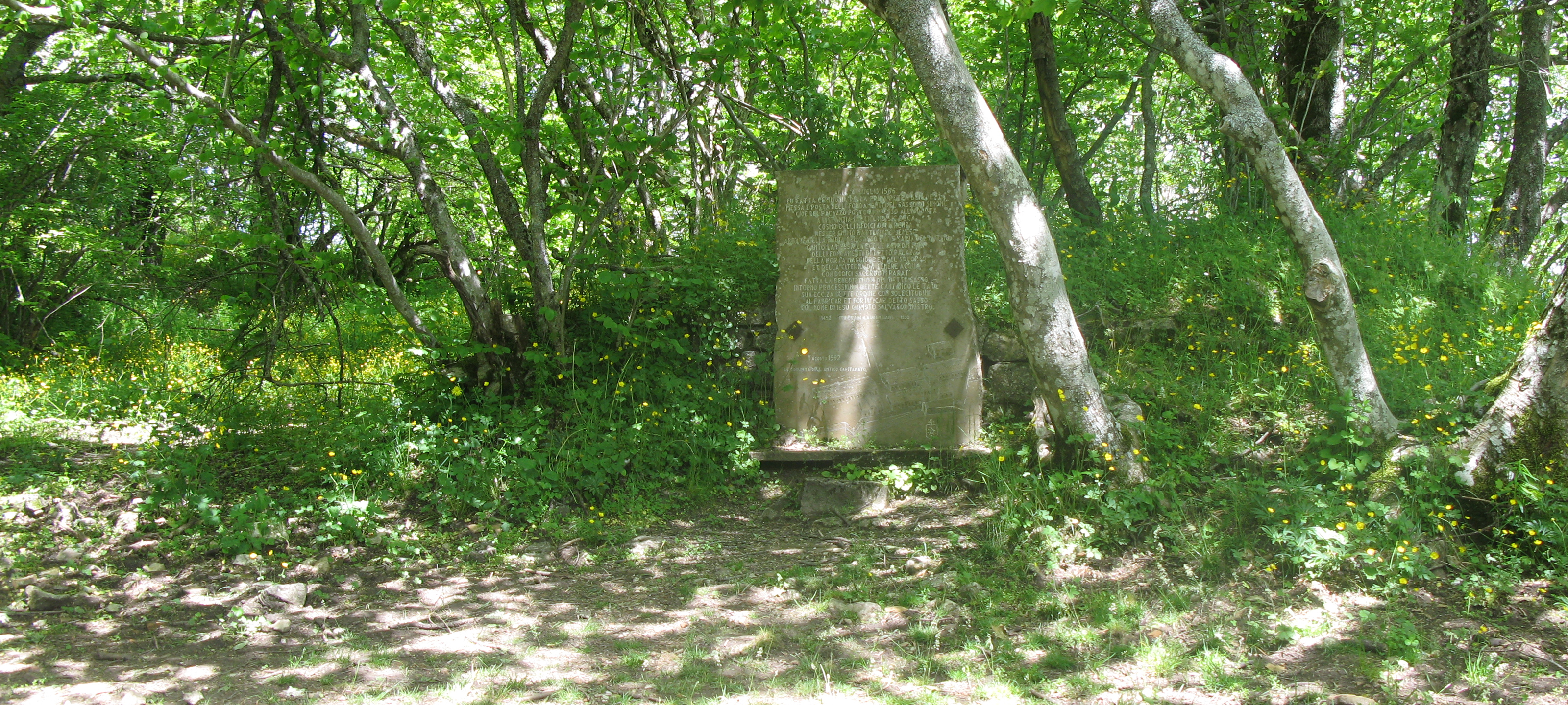 Parco Sasso Simone e Simoncello Sentiero 119 - immagine 12
