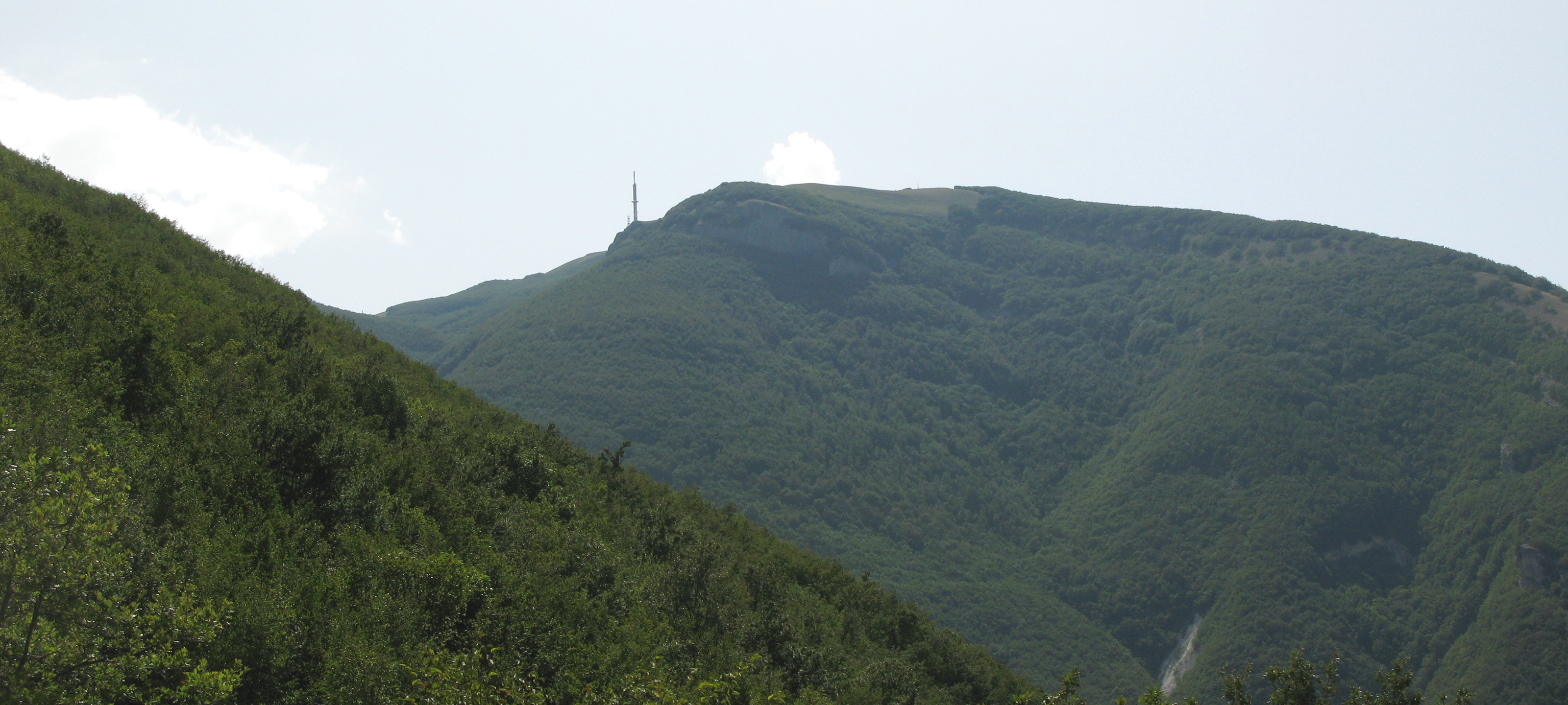 Monte Nerone Sentiero 12 - immagine 3