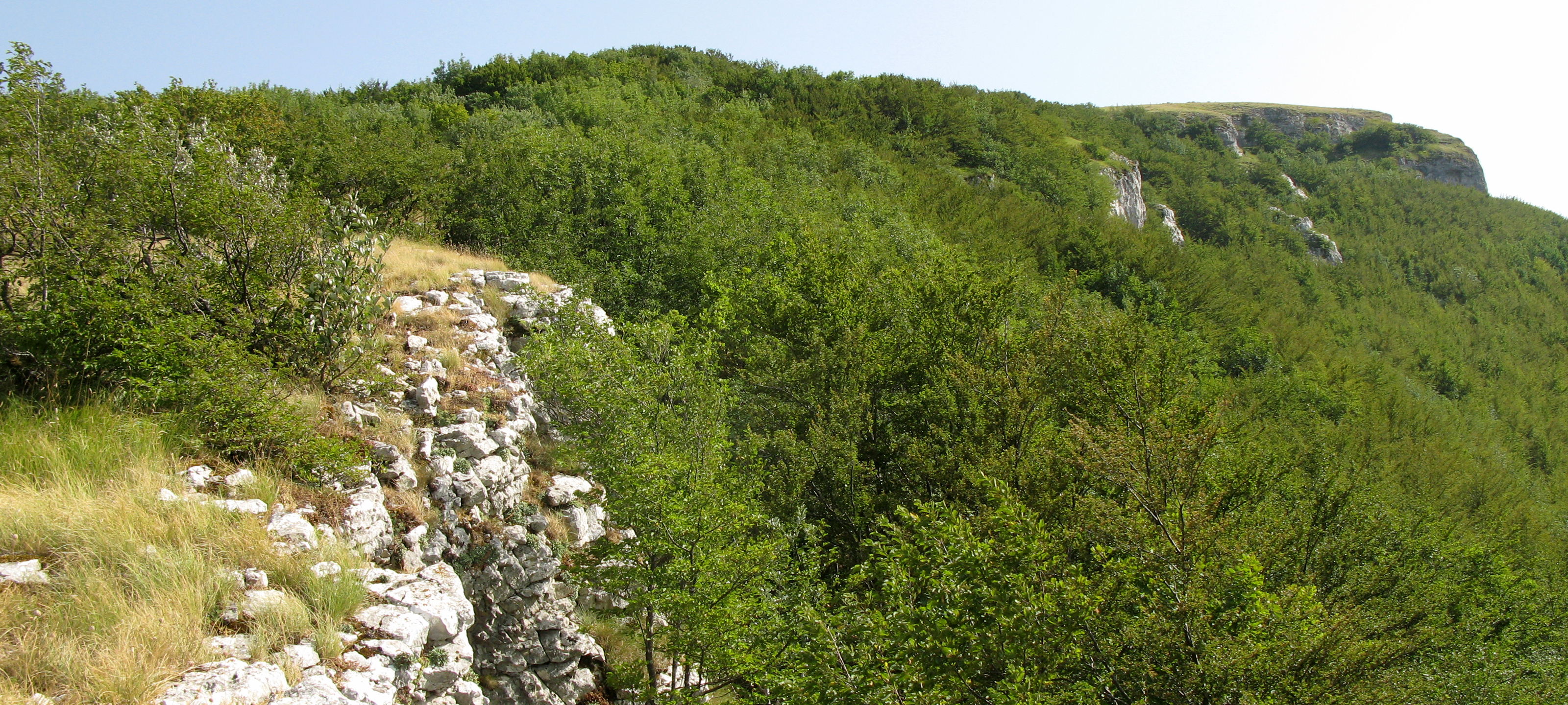 Monte Nerone Sentiero 12 - immagine 9