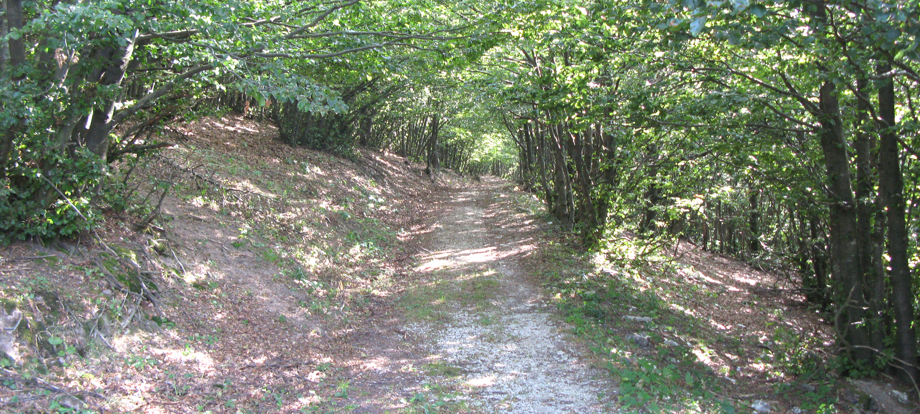 Monte Nerone Sentiero 12 - immagine 12