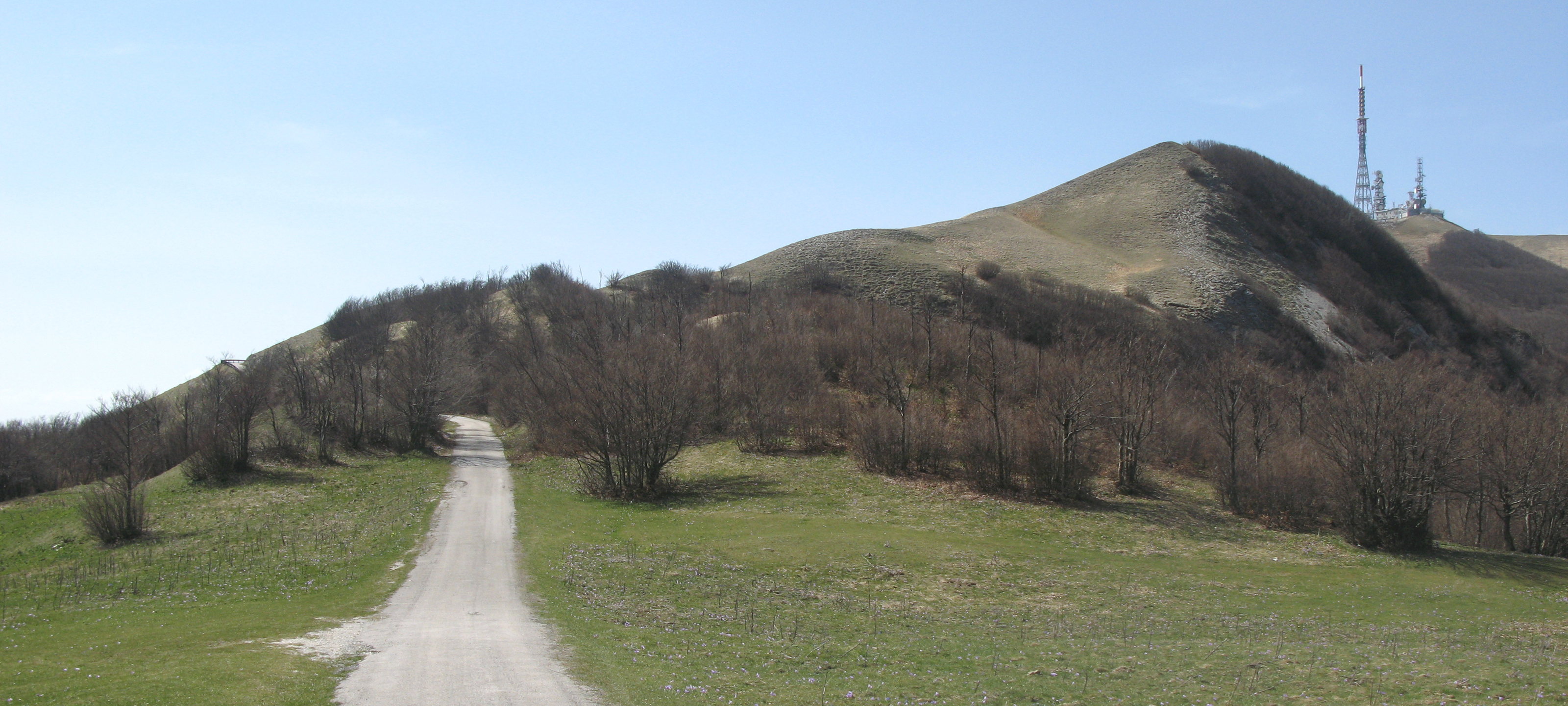 Monte Nerone Sentiero 12 - immagine 13