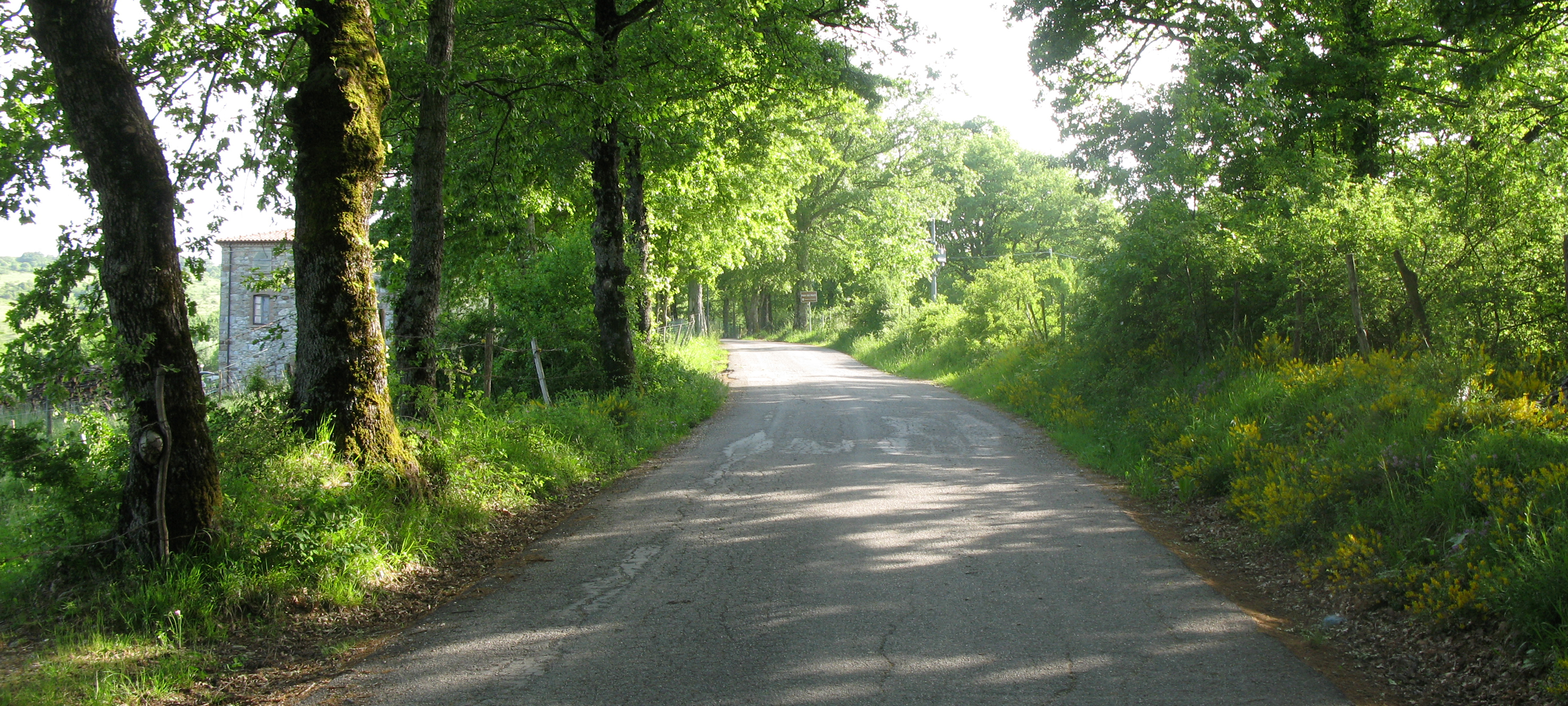 Parco Sasso Simone e Simoncello Sentiero 123 - immagine 2