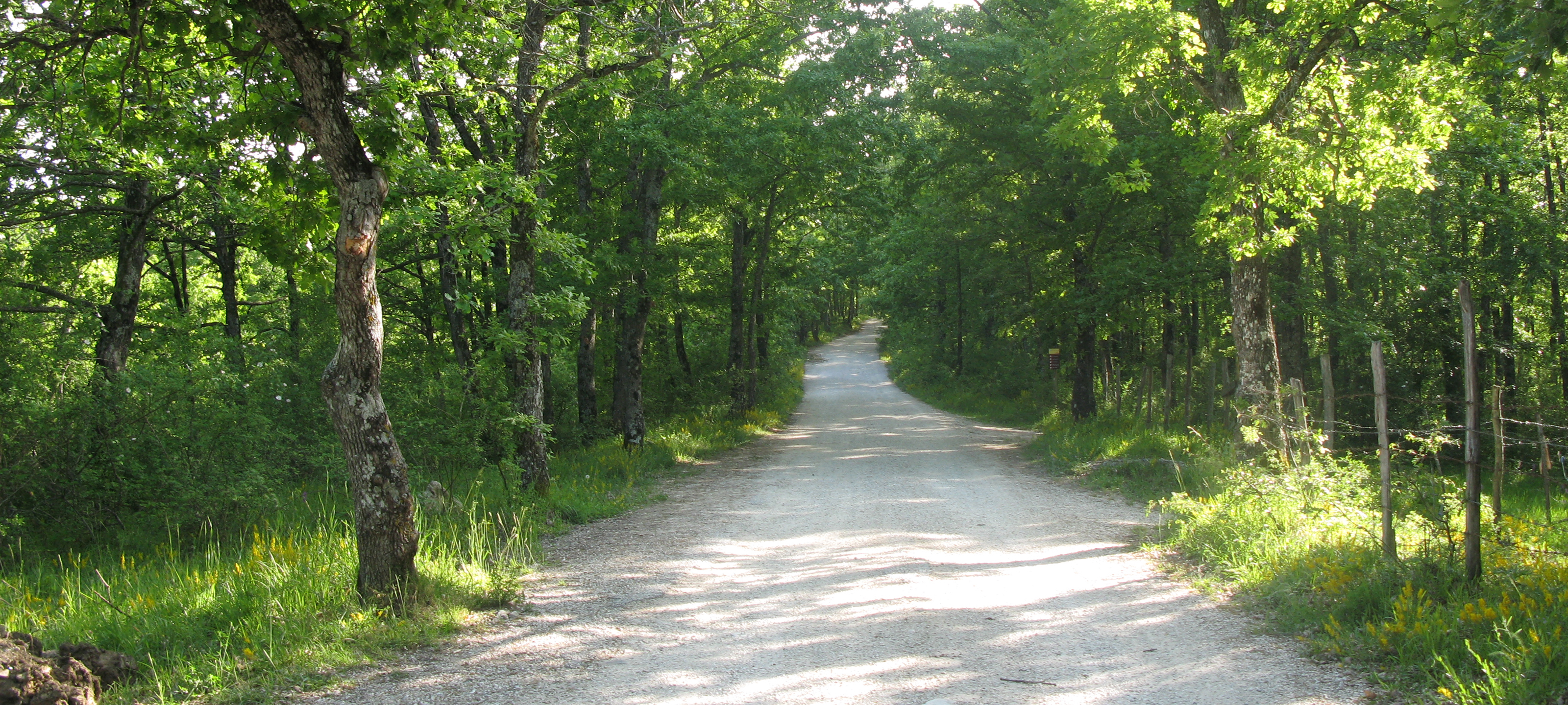 Parco Sasso Simone e Simoncello Sentiero 123 - immagine 3