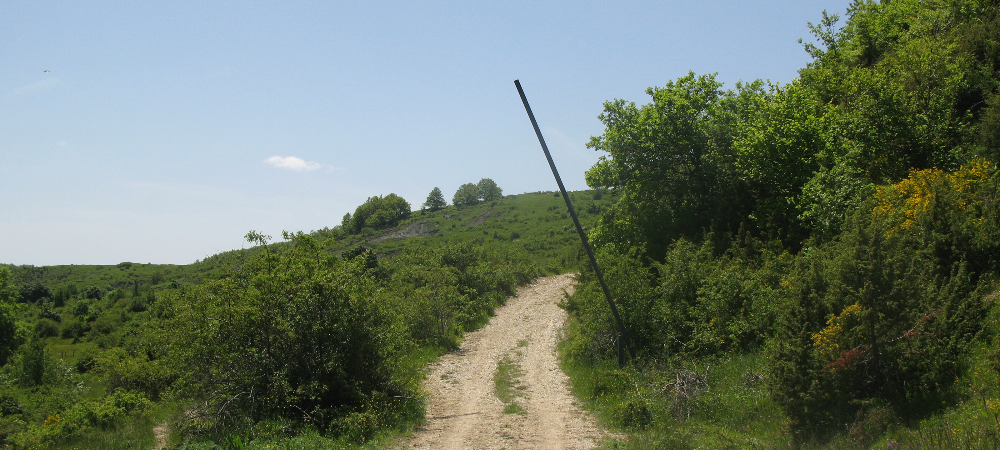 Parco Sasso Simone e Simoncello Sentiero 123 - immagine 7