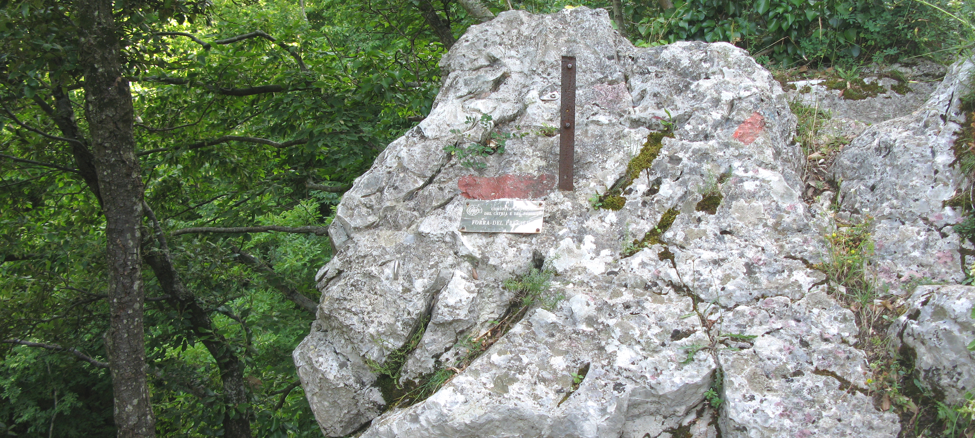 Monte Nerone Sentiero 13 - immagine 4