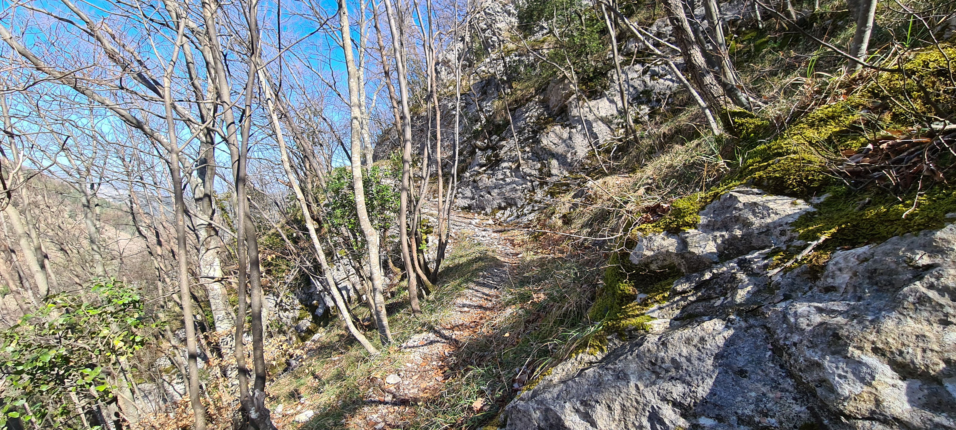 Monte Nerone Sentiero 13 - immagine 8