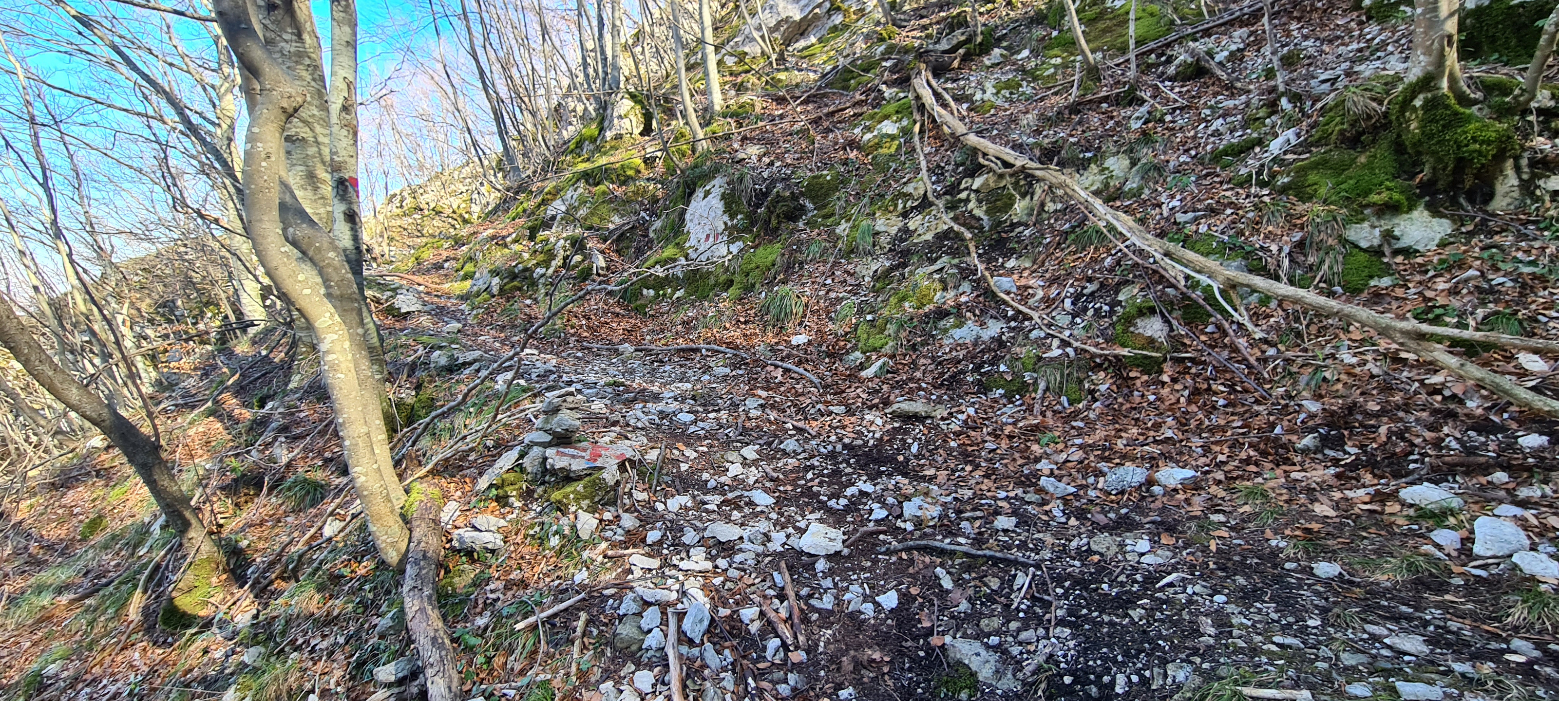 Monte Nerone Sentiero 13 - immagine 11