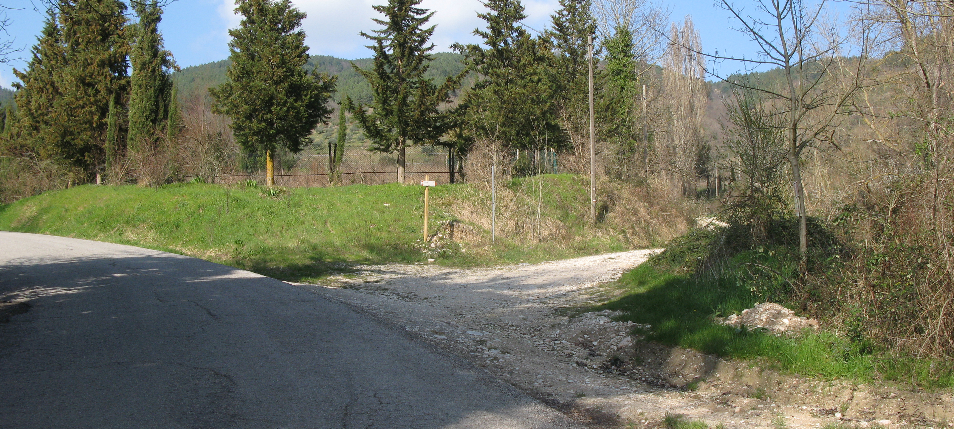 Monti delle Cesane Sentiero 130 - immagine 2