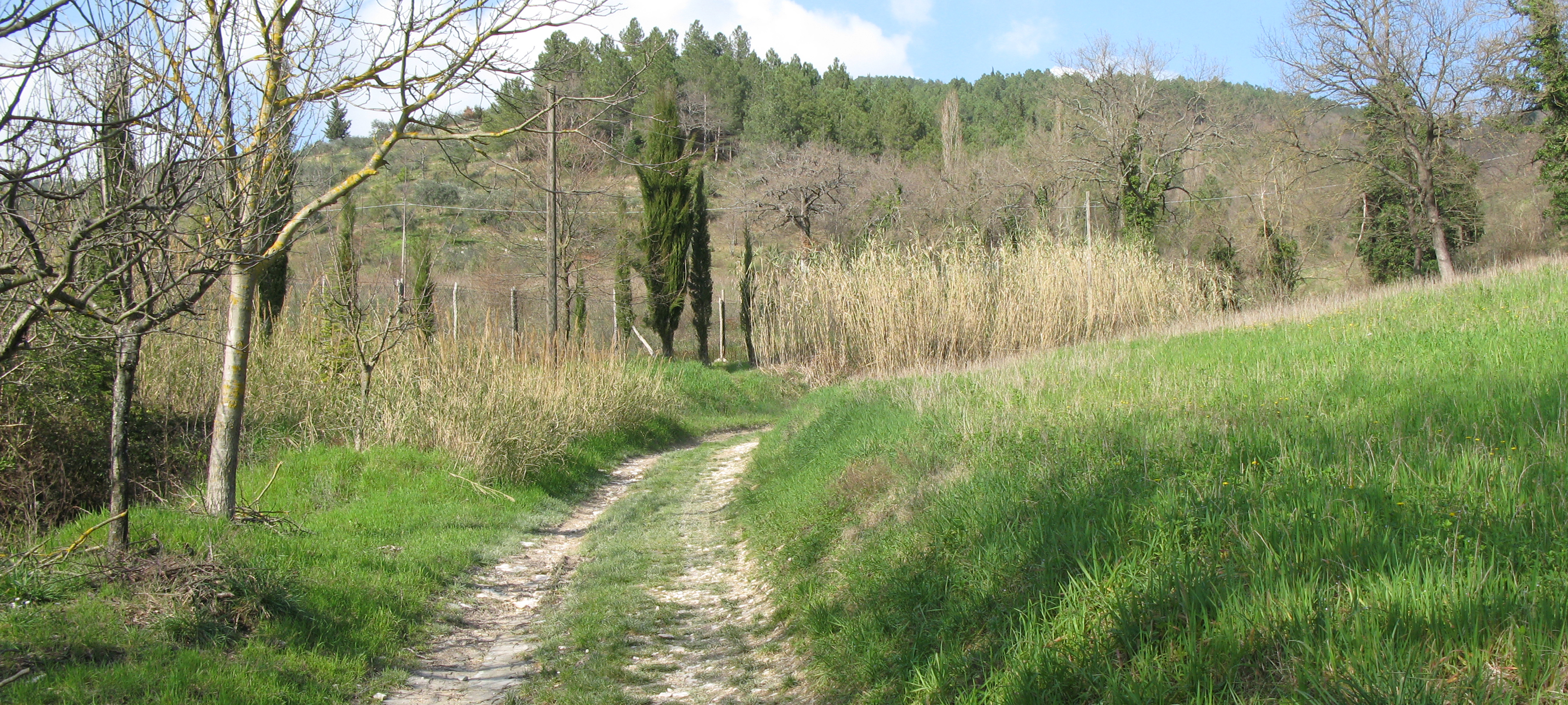 Monti delle Cesane Sentiero 130 - immagine 3