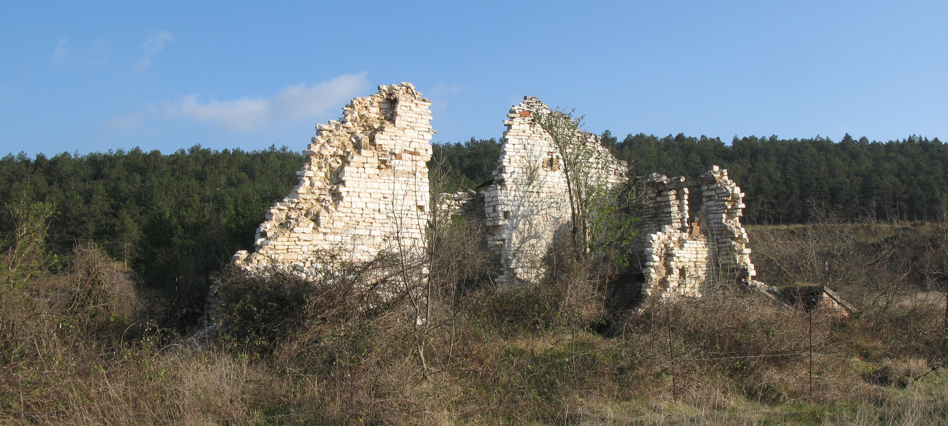 Monti delle Cesane Sentiero 131 - immagine 7 (Casino della Cesana)
