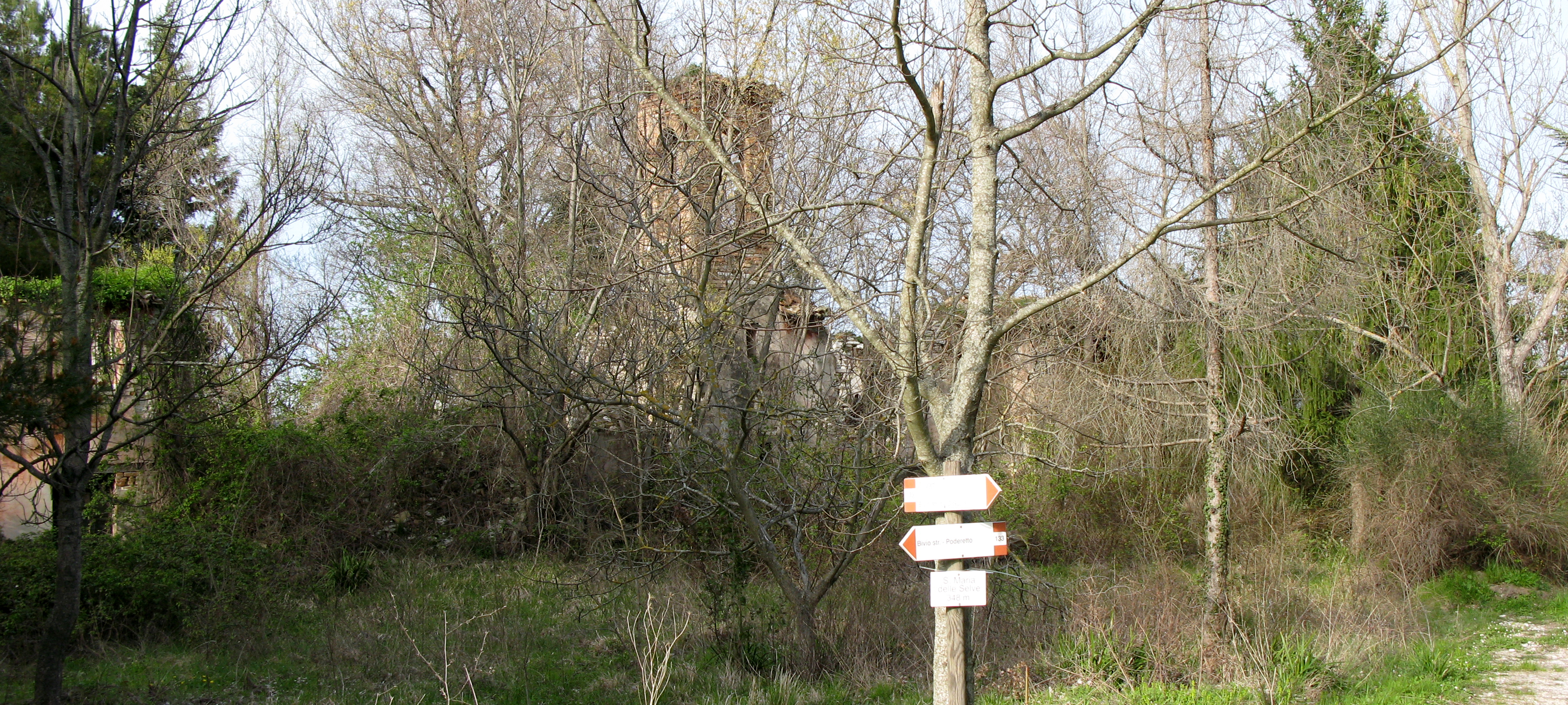 Monti delle Cesane Sentiero 133 - immagine 3 (Santa Maria delle Selve a Montecesano)