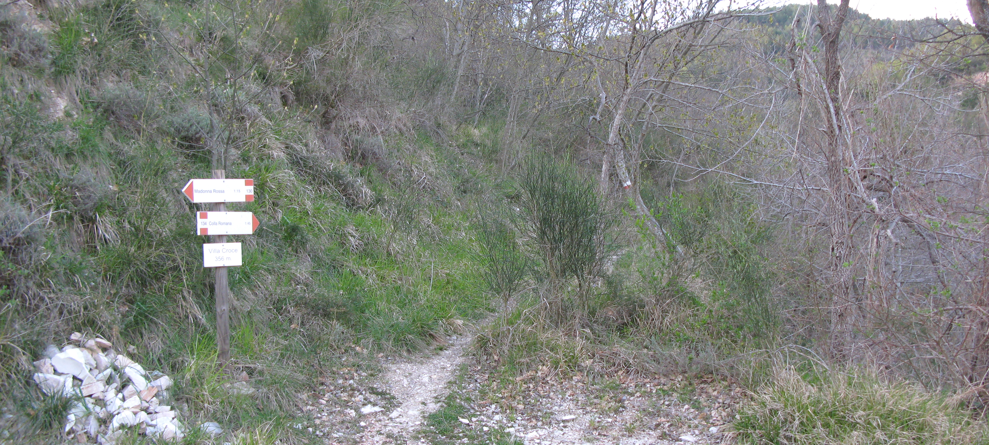 Monti delle Cesane Sentiero 134 - immagine 1 (Villa Croce)