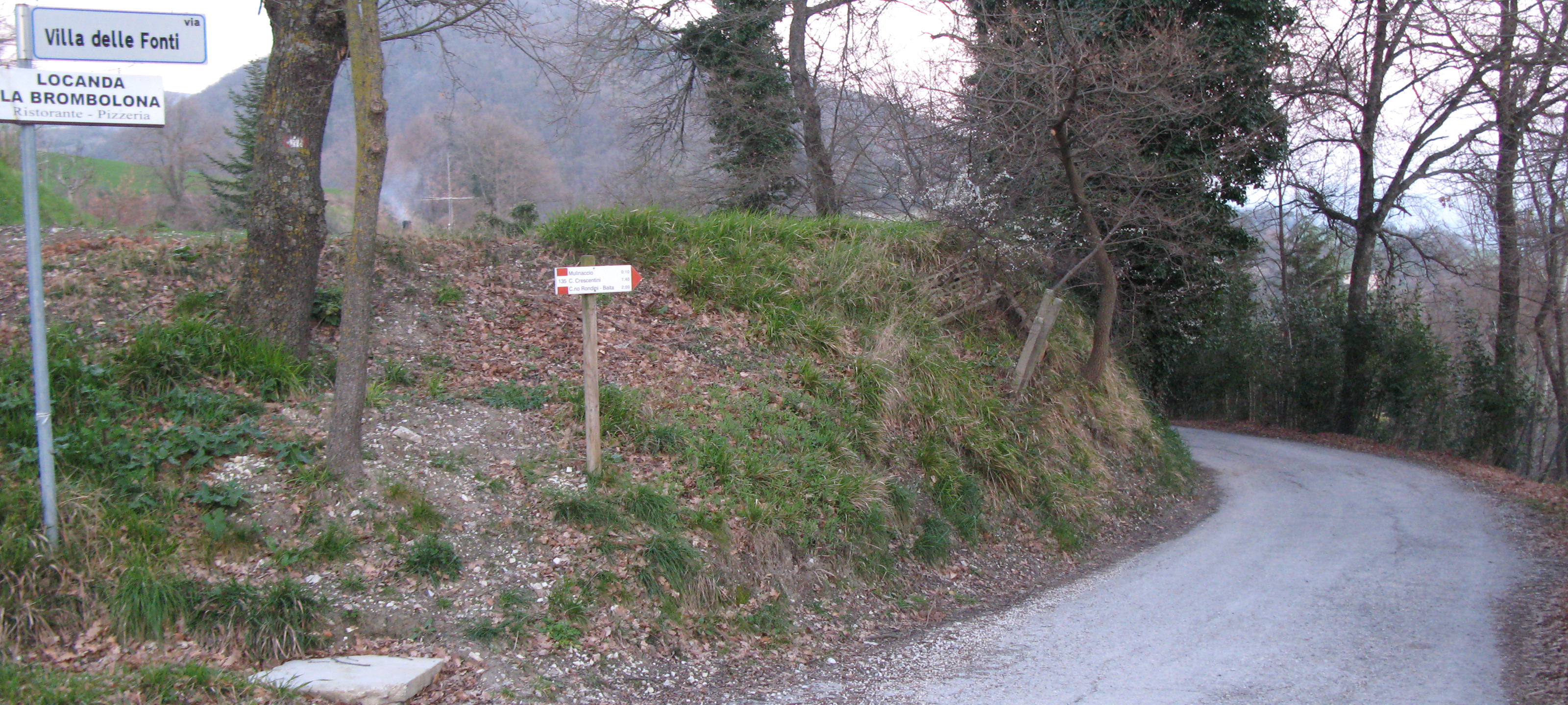 Monti delle Cesane Sentiero 135 - immagine 2