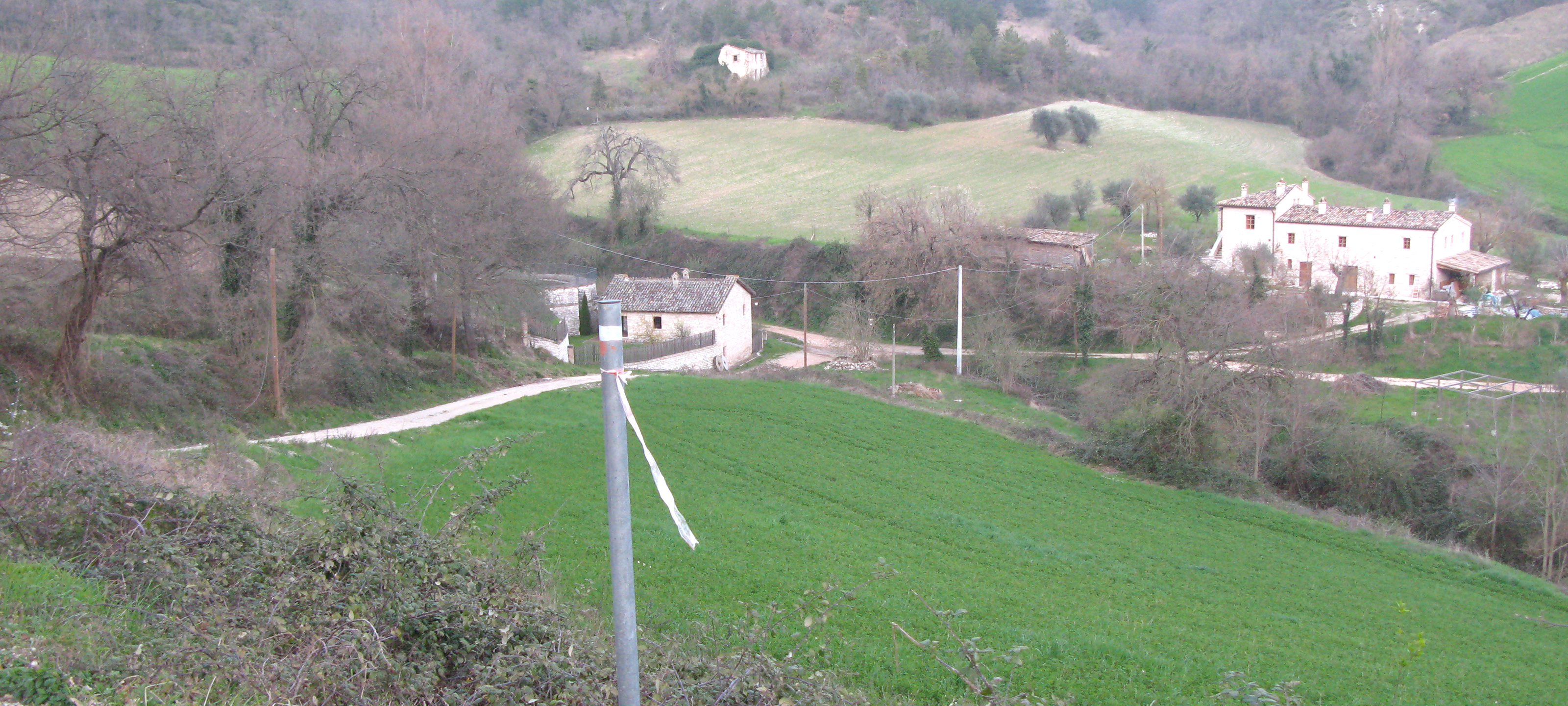Monti delle Cesane Sentiero 135 - immagine 3 (Mulinaccio)