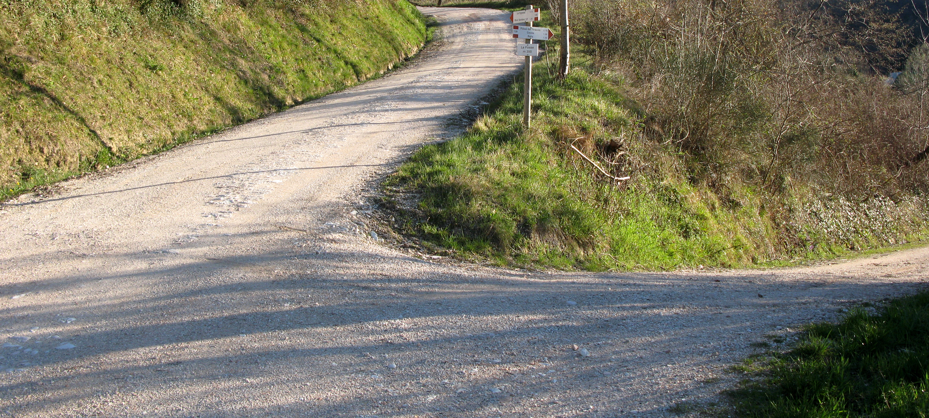 Monti delle Cesane Sentiero 139 - immagine 4