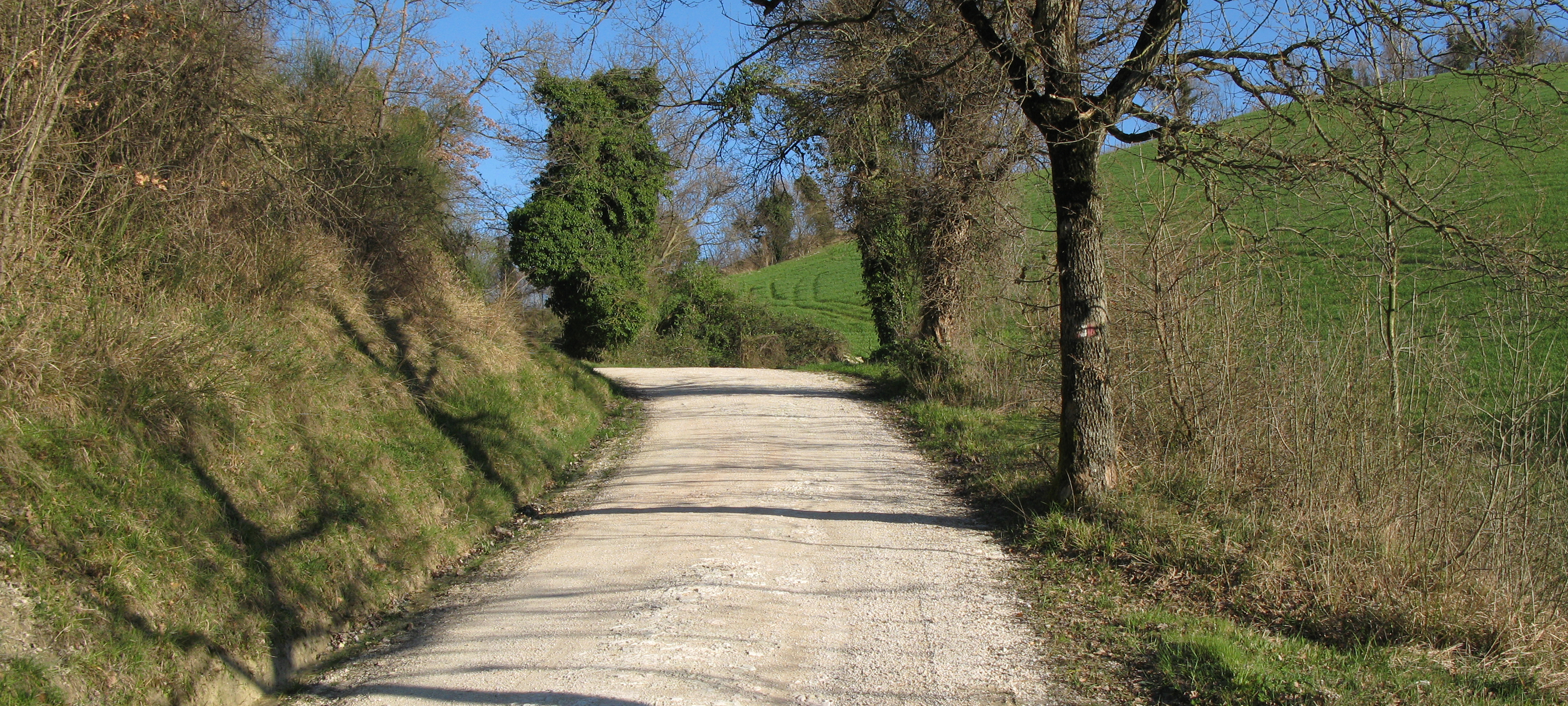 Monti delle Cesane Sentiero 140 - immagine 2