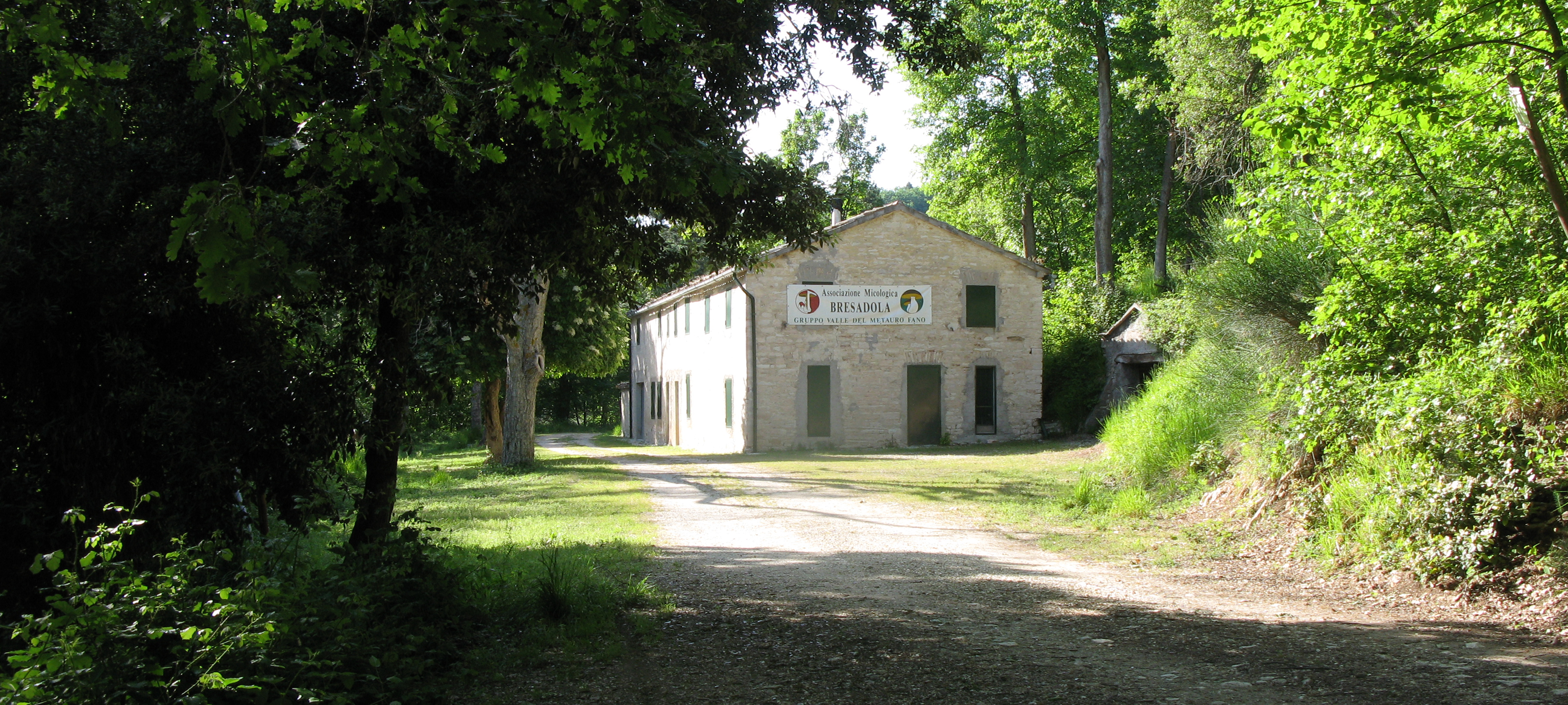 Monti delle Cesane Sentiero 141 - immagine 7 (Ca' Baldani)