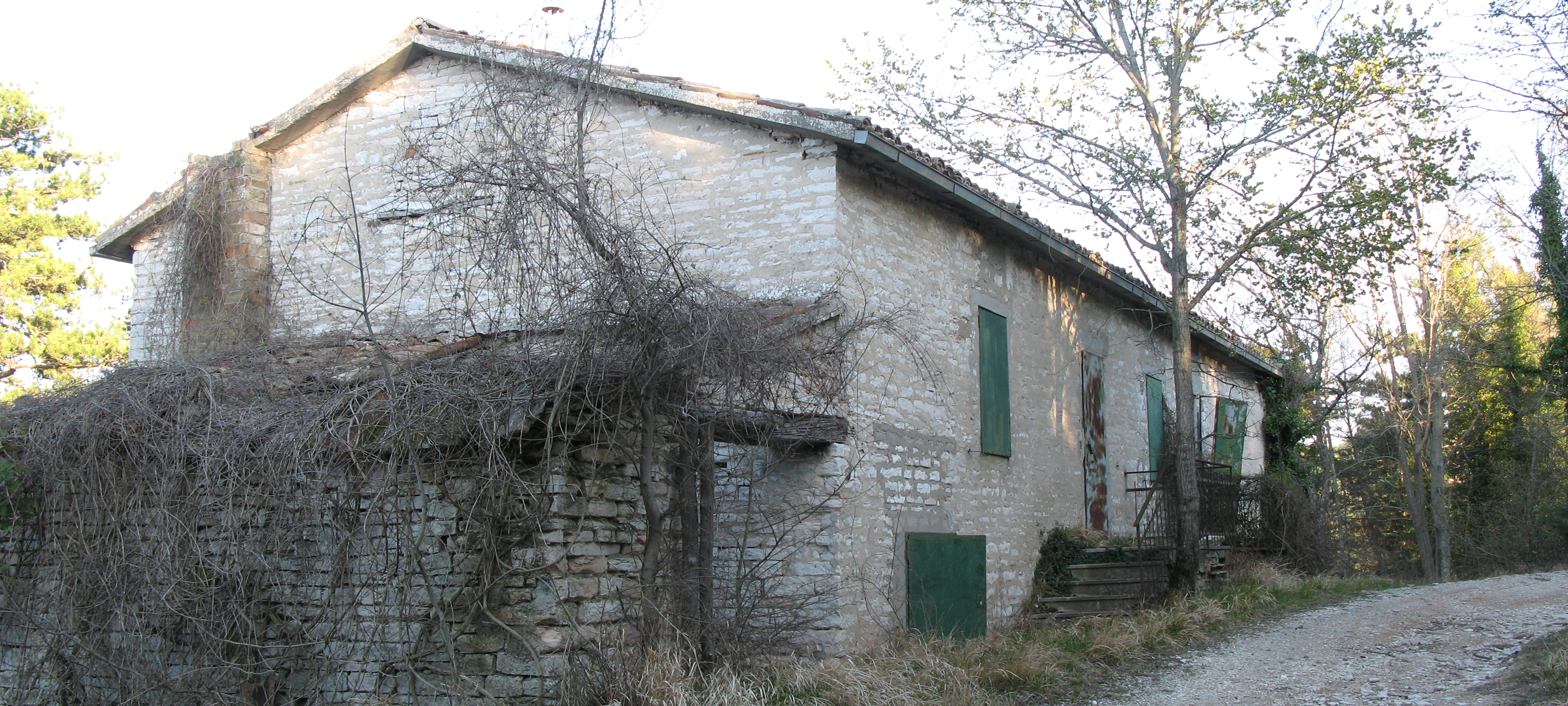 Monti delle Cesane Sentiero 144 - immagine 5 (Campo degli abeti)