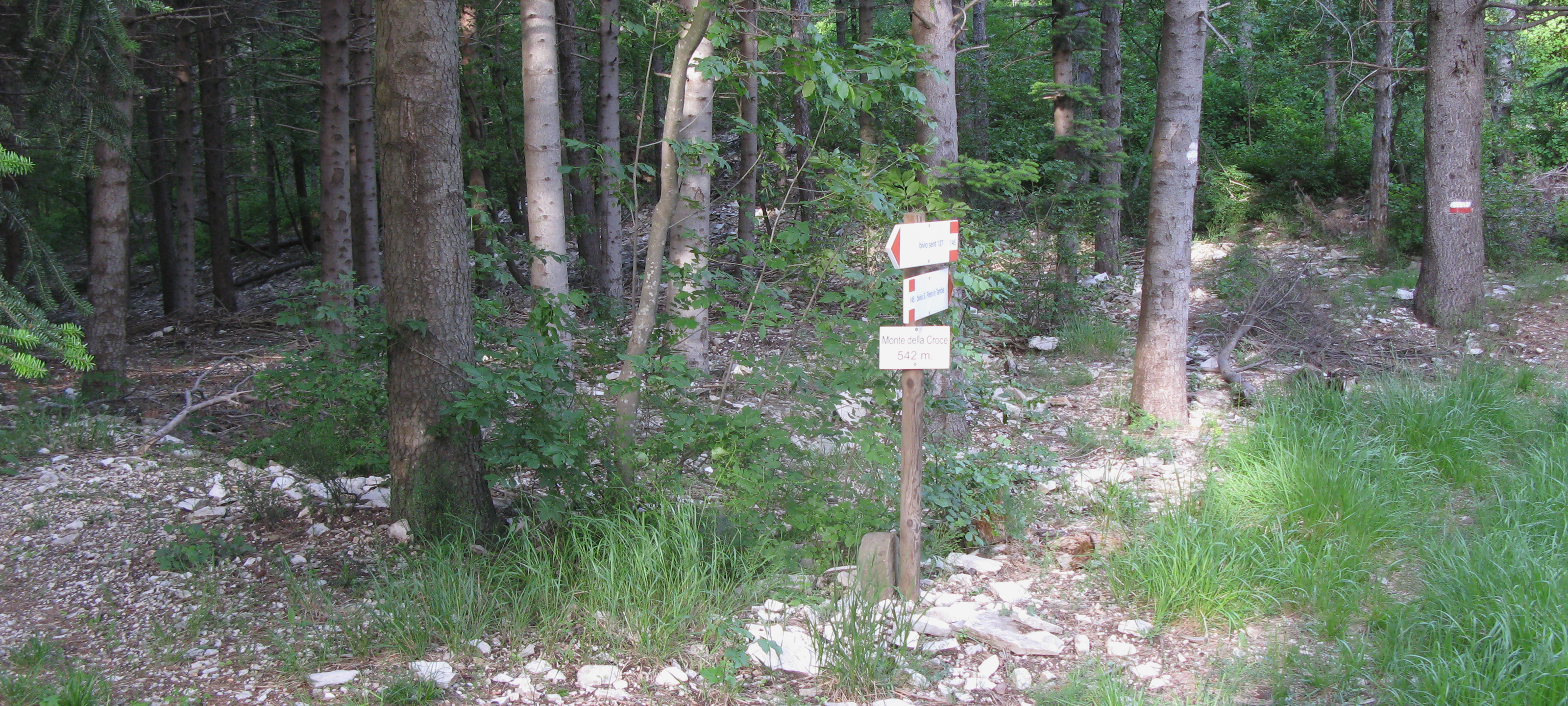 Monti delle Cesane Sentiero 145 - immagine 5 (Monte della Croce)