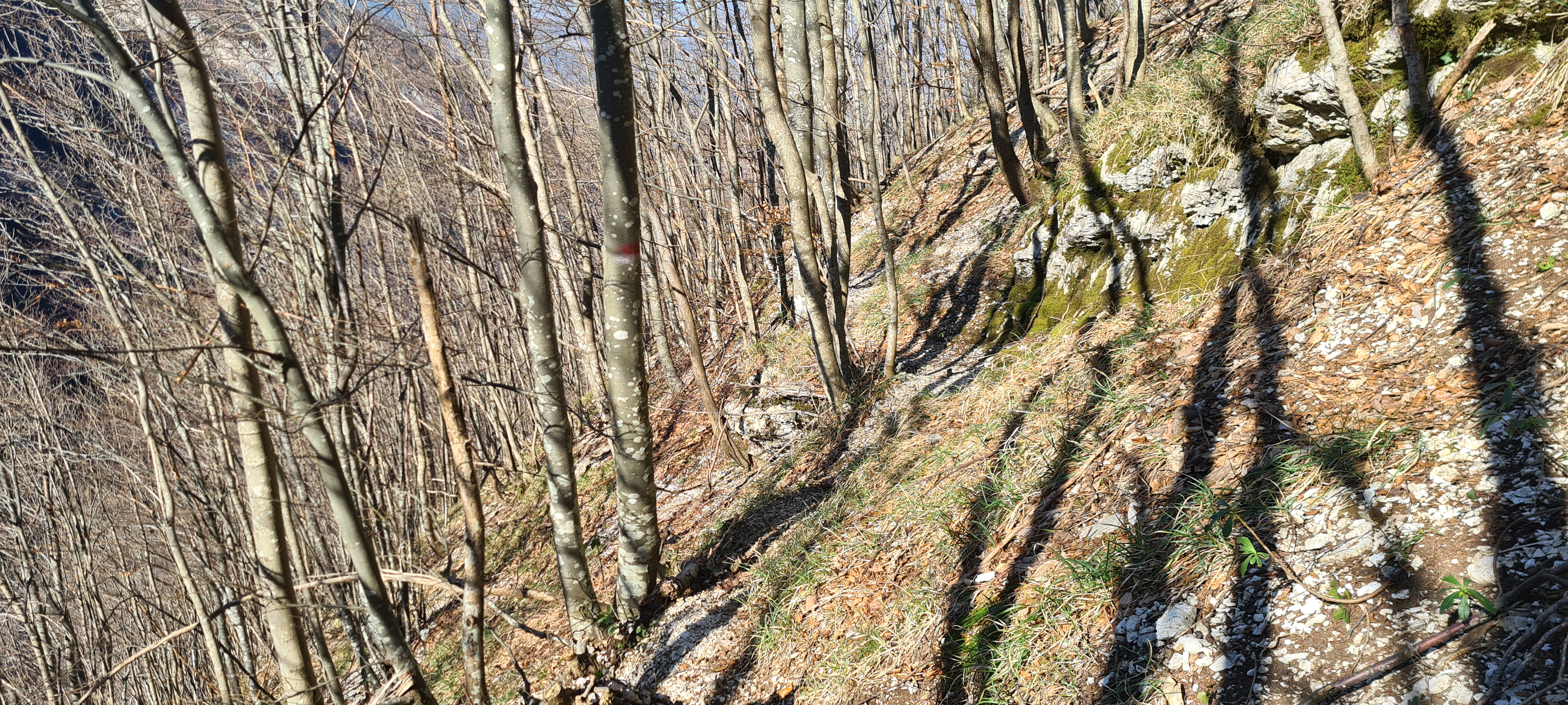 Monte Nerone Sentiero 15 - immagine 8