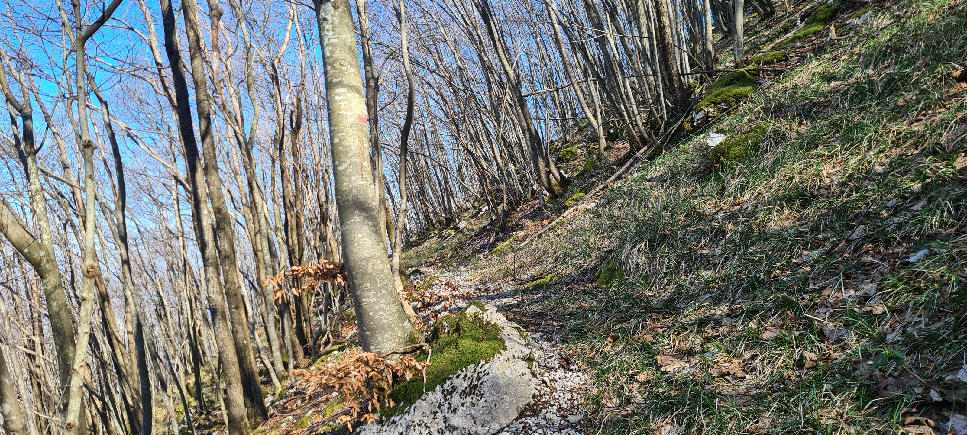 Monte Nerone Sentiero 15 - immagine 9