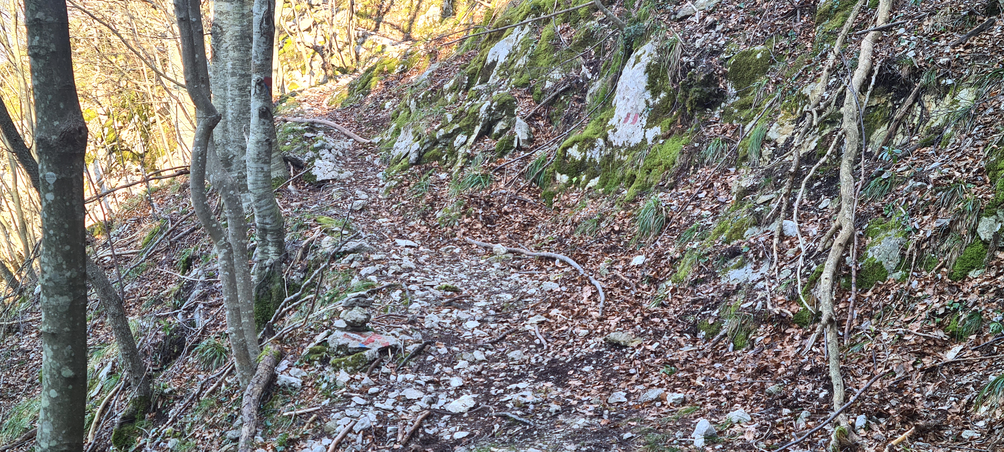 Monte Nerone Sentiero 15 - immagine 10