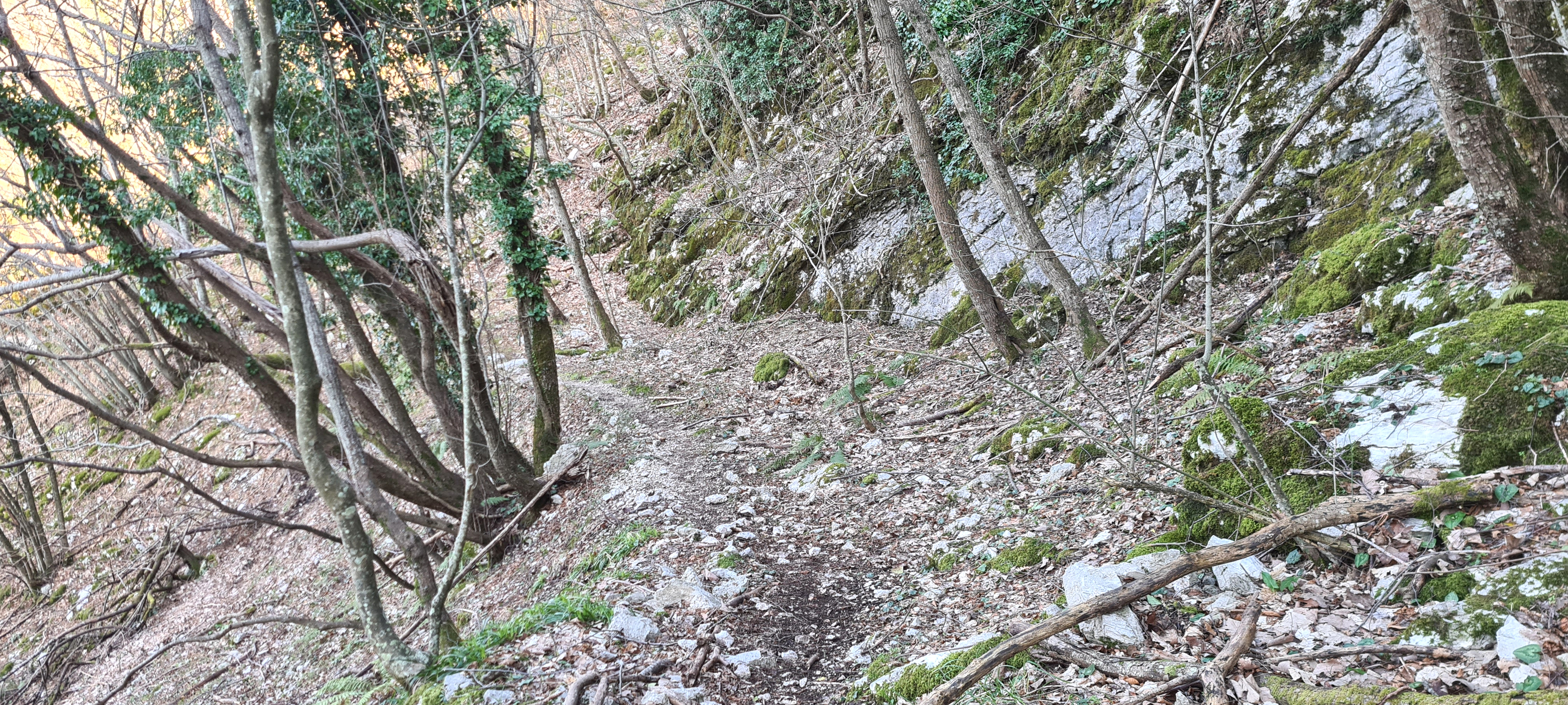 Monte Nerone Sentiero 15 - immagine 12
