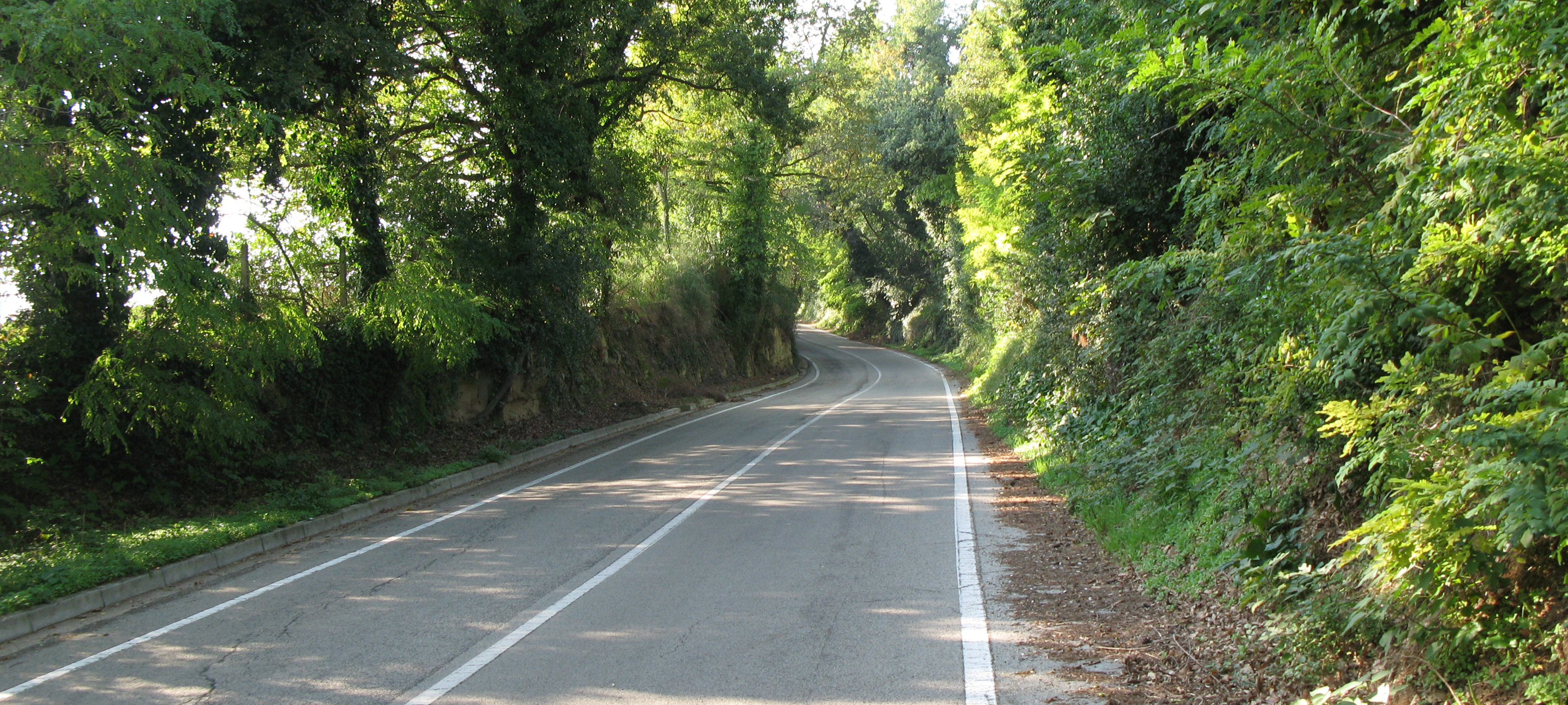 Parco Monte San Bartolo Sentiero 151 - immagine 2
