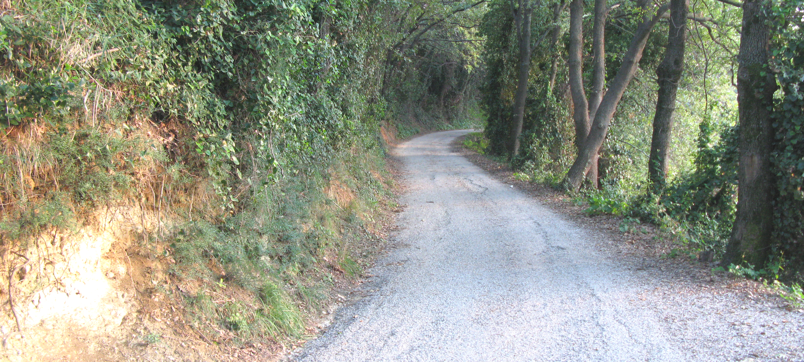 Parco Monte San Bartolo Sentiero 151 - immagine 3 (strada Bocca del Lupo)