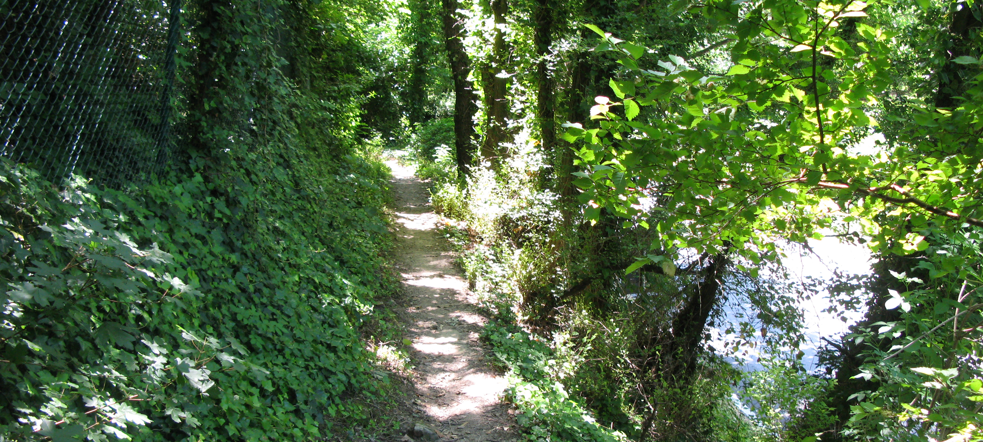 Parco Monte San Bartolo Sentiero 151 - immagine 5